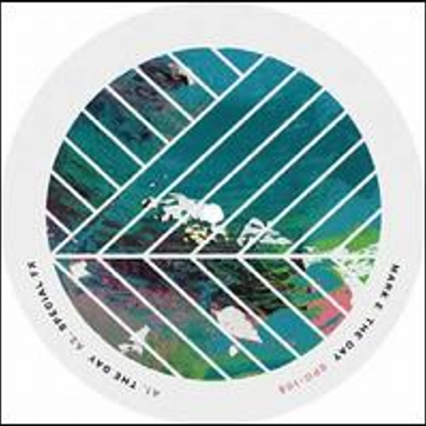 Mark E DAY Vinyl Record