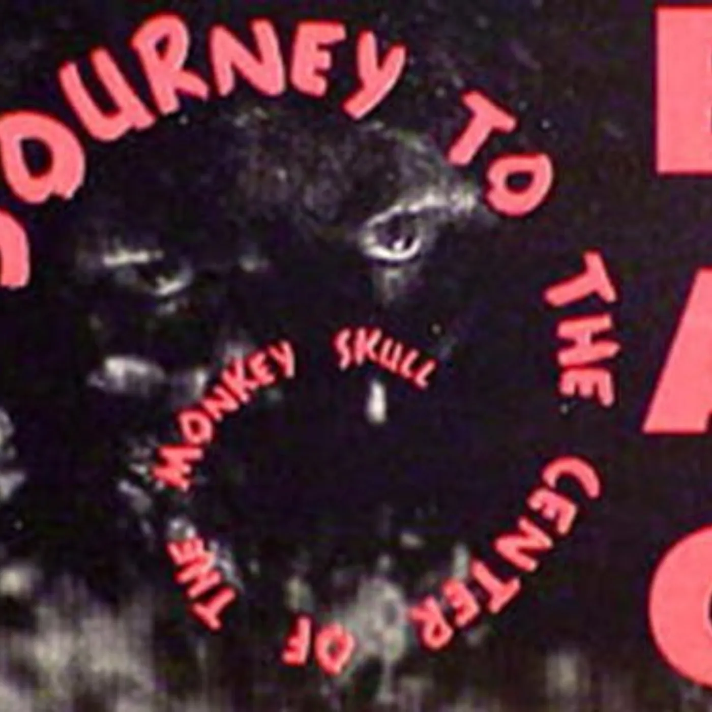 BAG JOURNEY TO THE CENTER OF MONKEY SKULL Vinyl Record