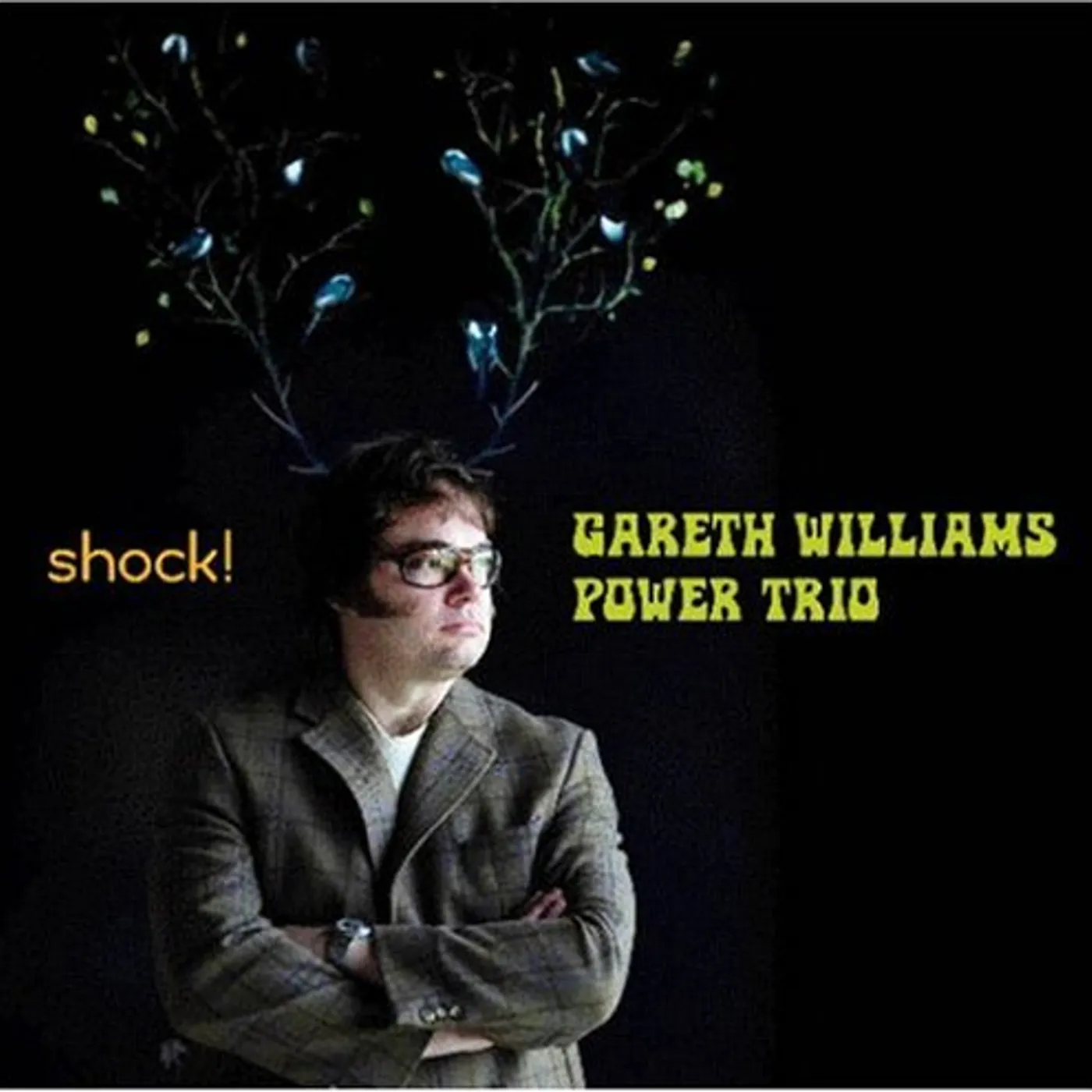 SHOCK: GARETH WILLIAMS POWER TRIO Super Audio CD