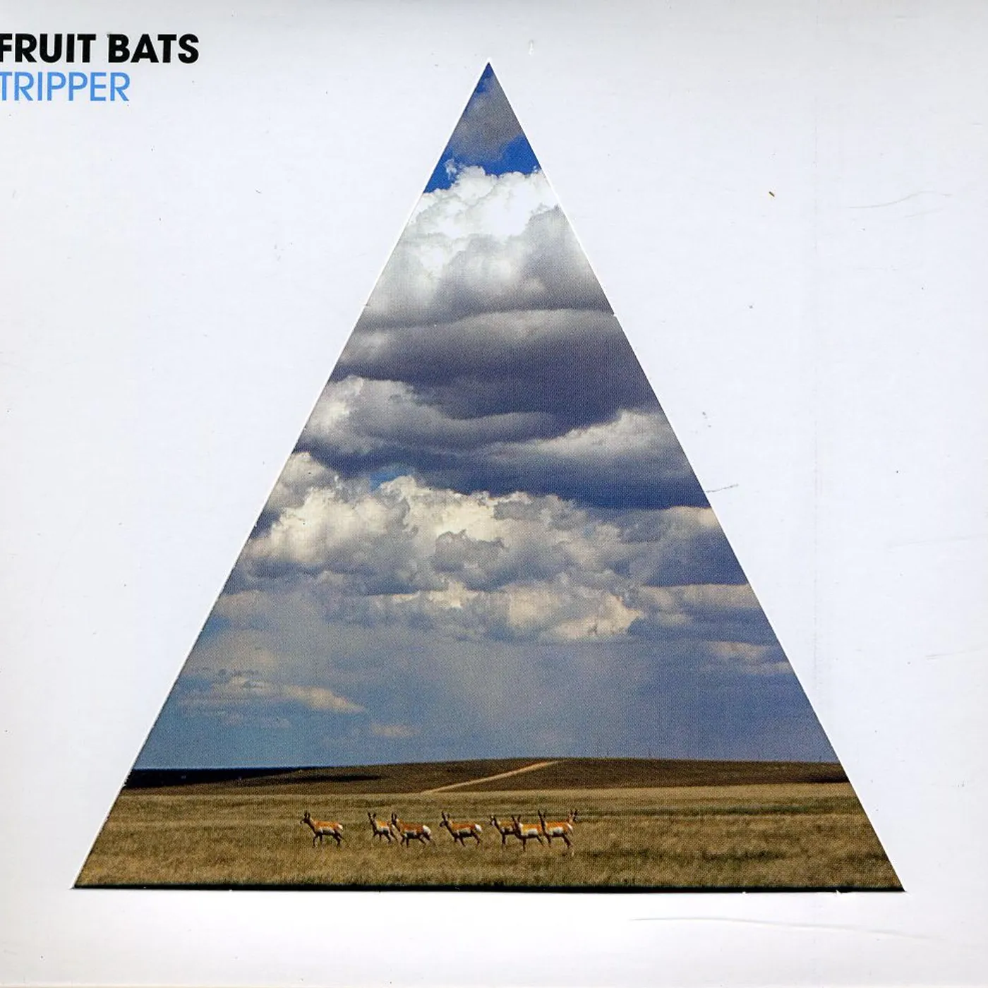 Fruit Bats TRIPPER CD