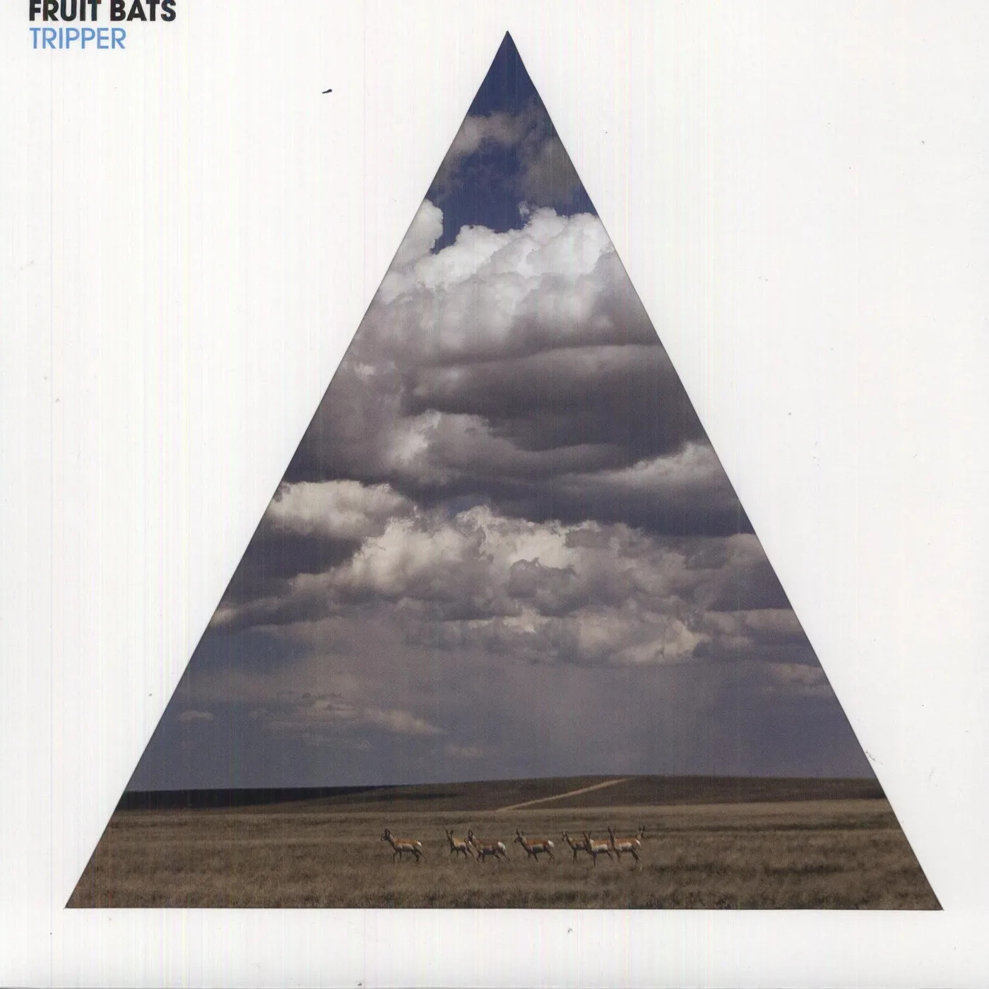 Fruit Bats Tripper Vinyl Record