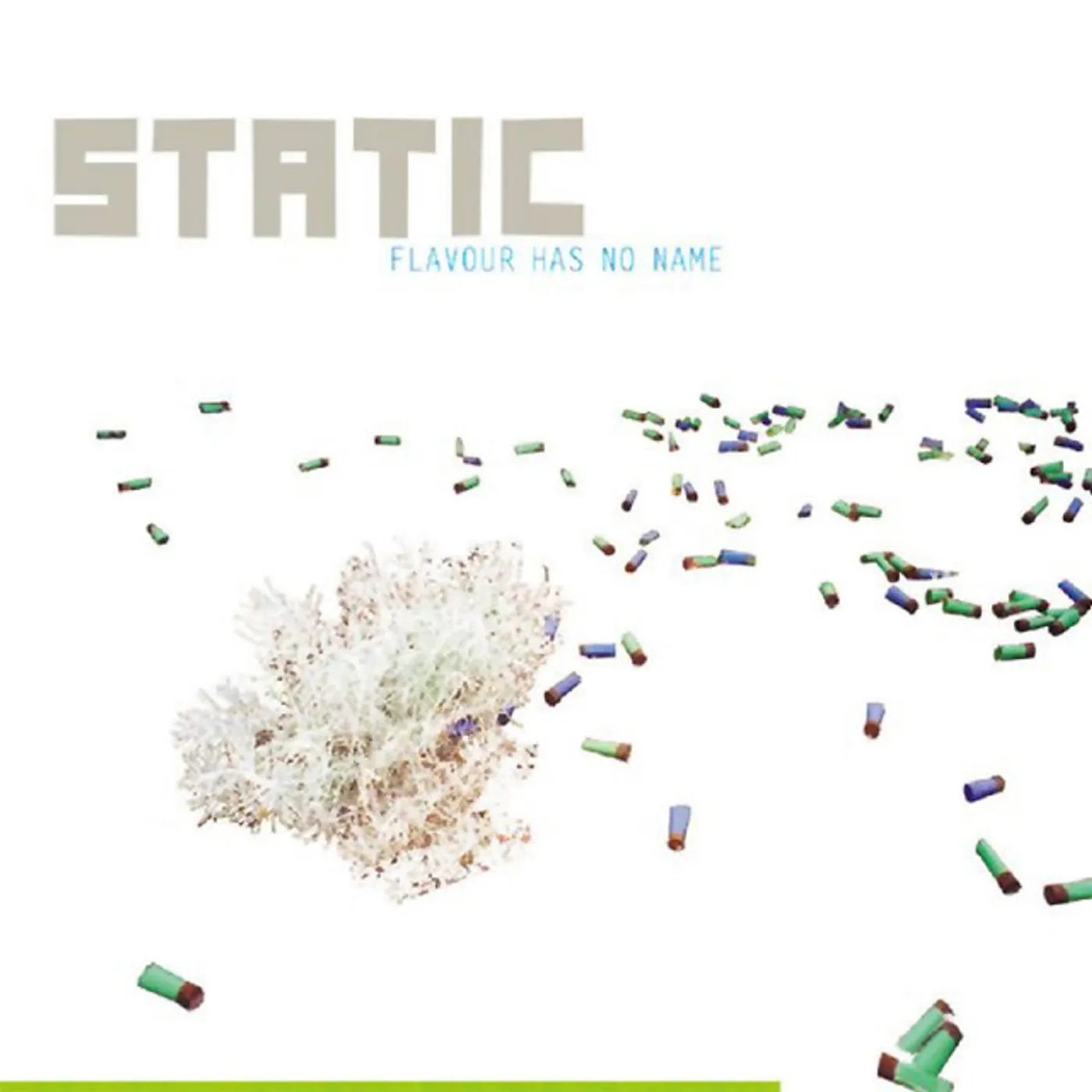 Static Flavour Has No Name Vinyl Record