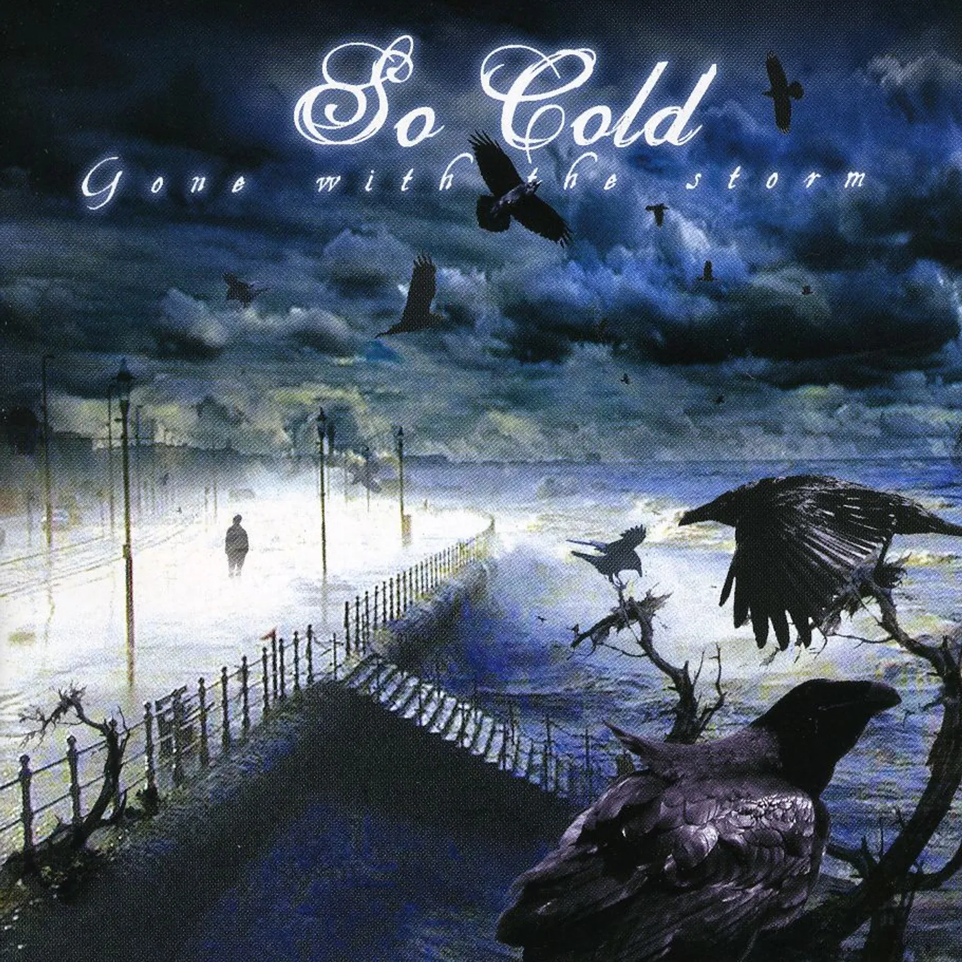 So Cold GONE WITH THE STORM CD