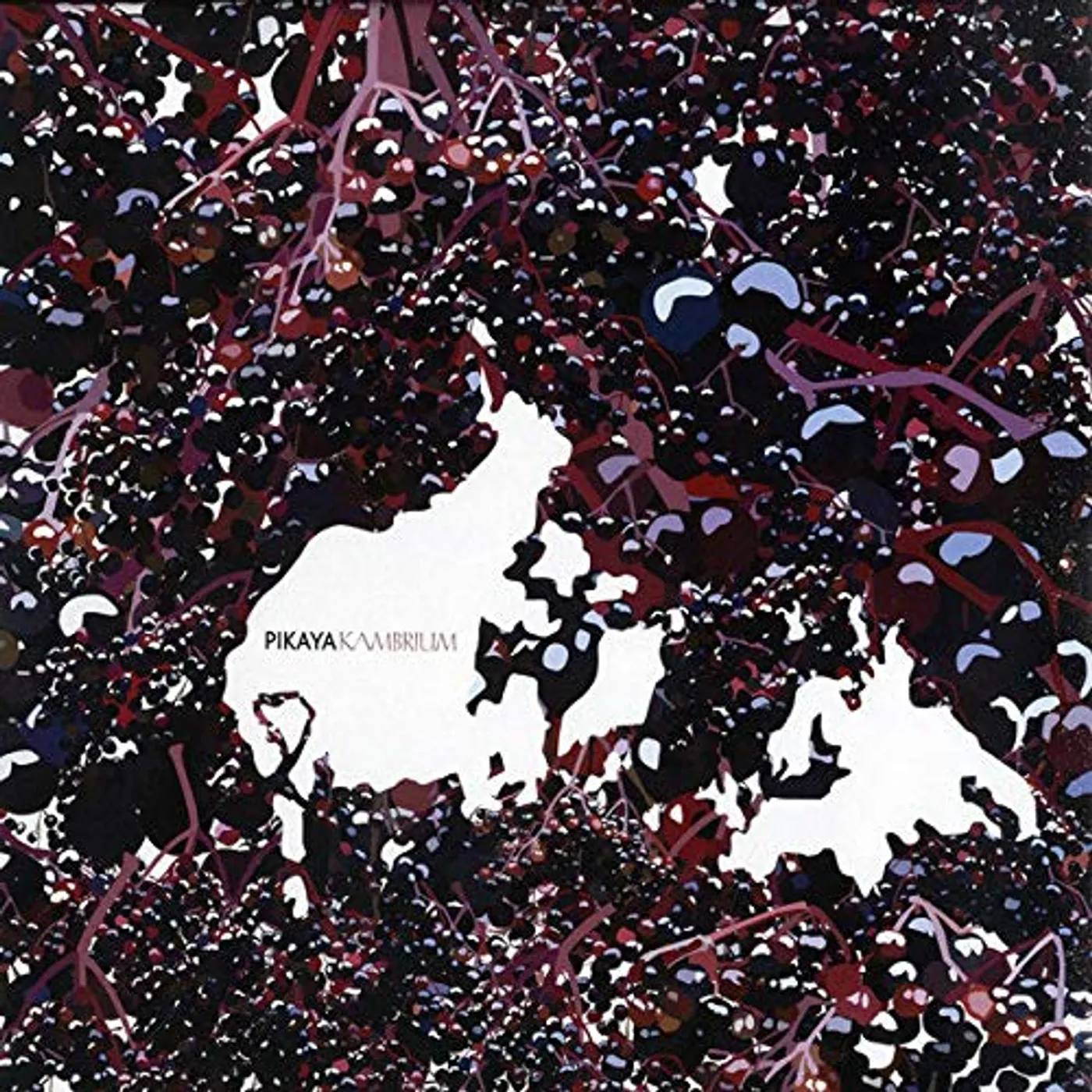 Pikaya Kambrium Vinyl Record