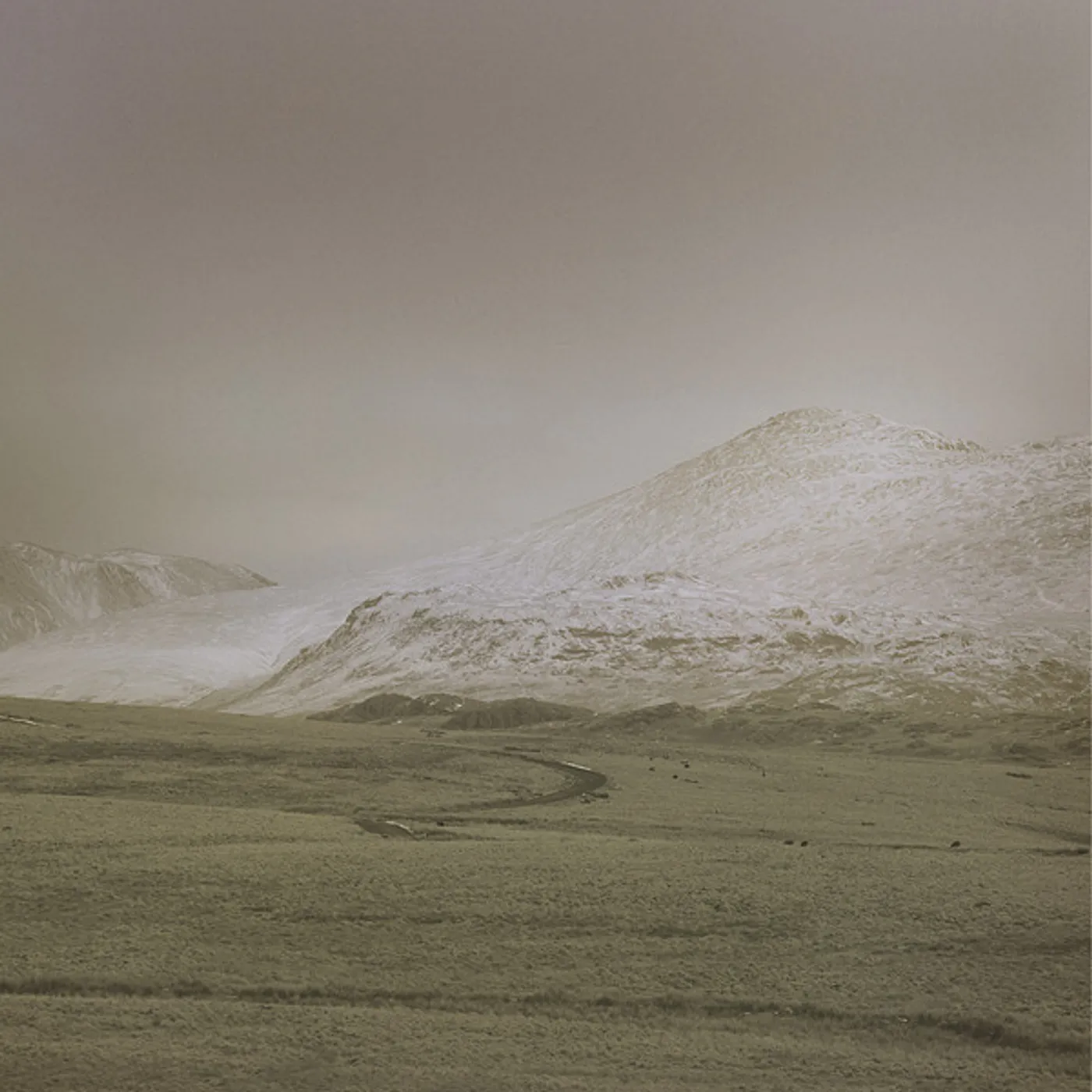 AR Wolf Notes Vinyl Record