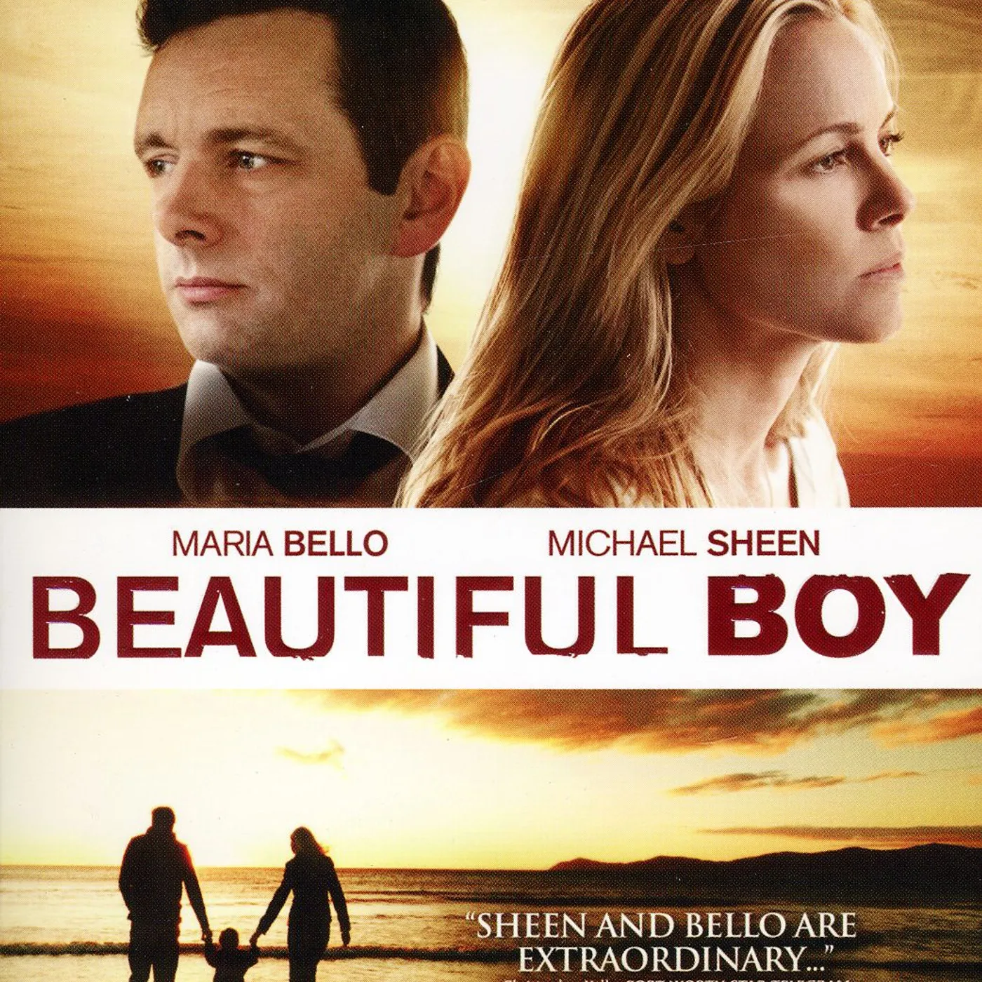 BEAUTIFUL BOY DVD
