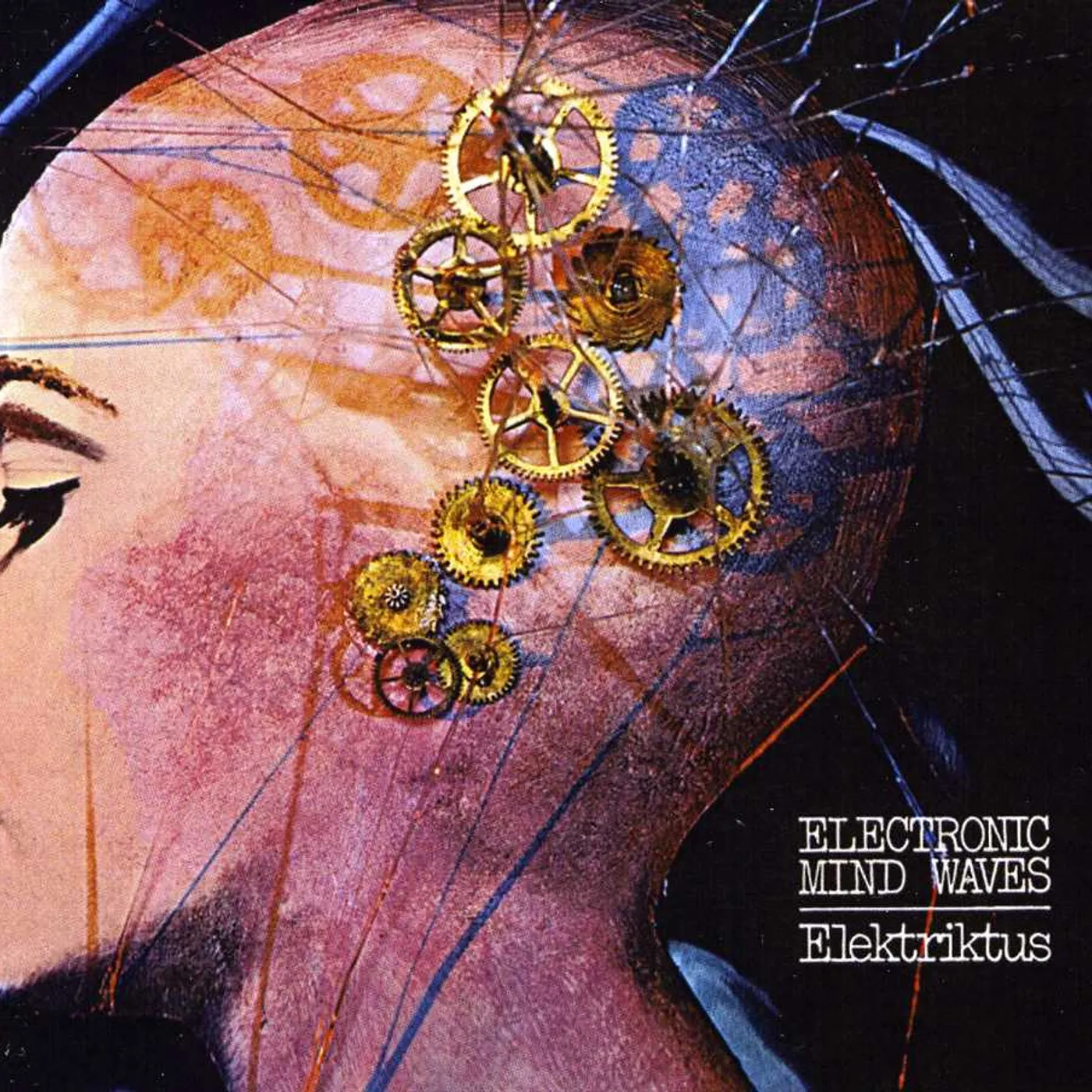 Elektriktus ELECTRONIC MIND WAVES CD