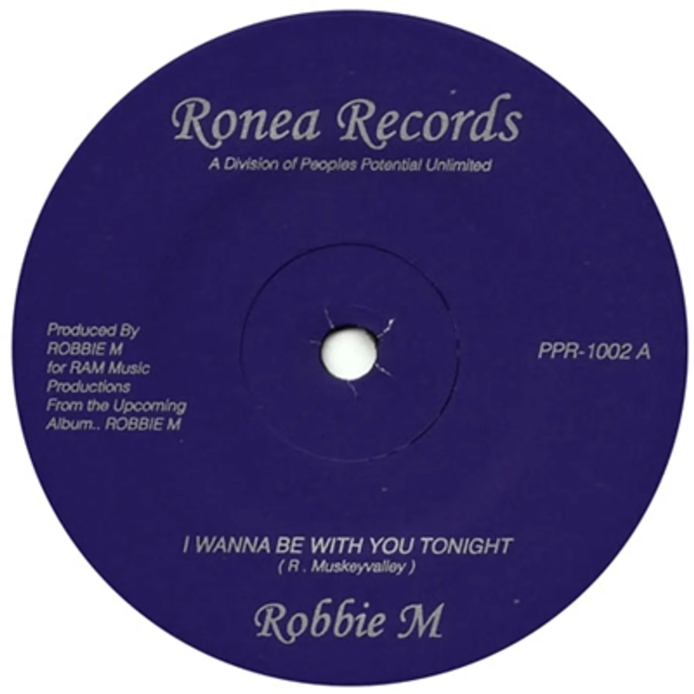Robbie M I Wanna Be With You Tonight Vinyl Record