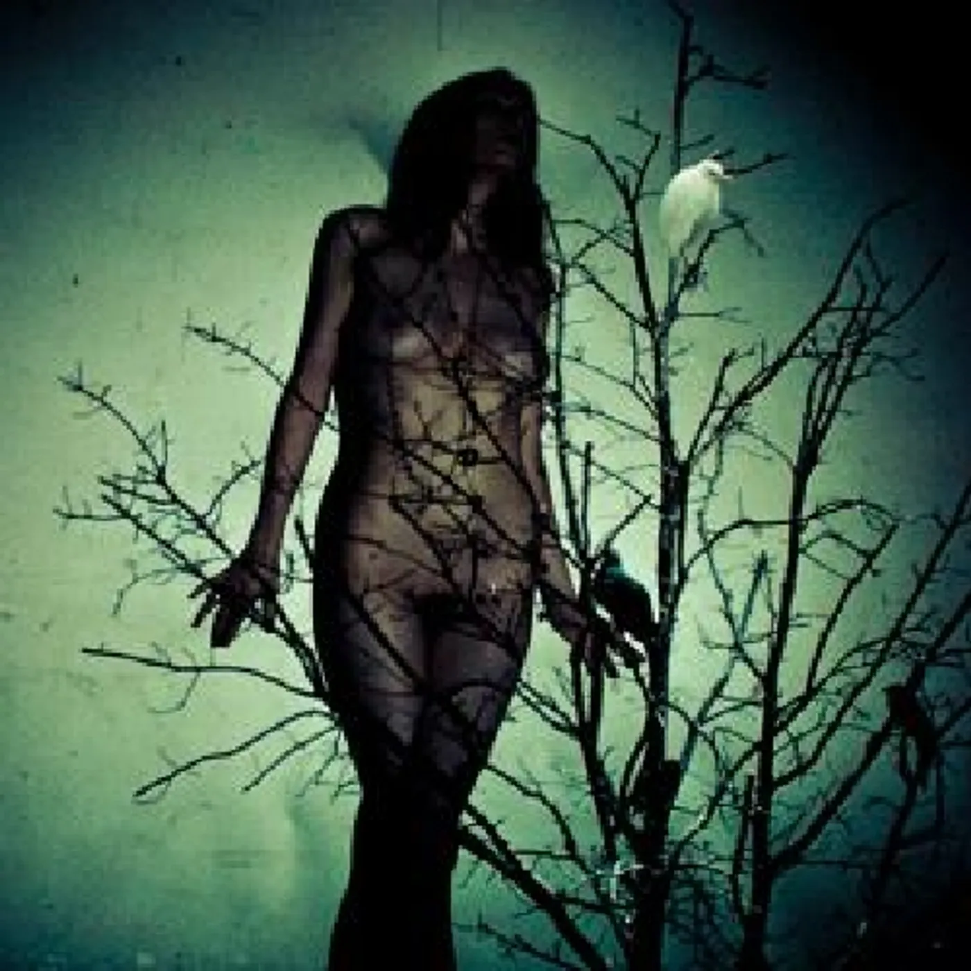 The Atlas Moth AN ACHE FOR THE DISTANCE CD