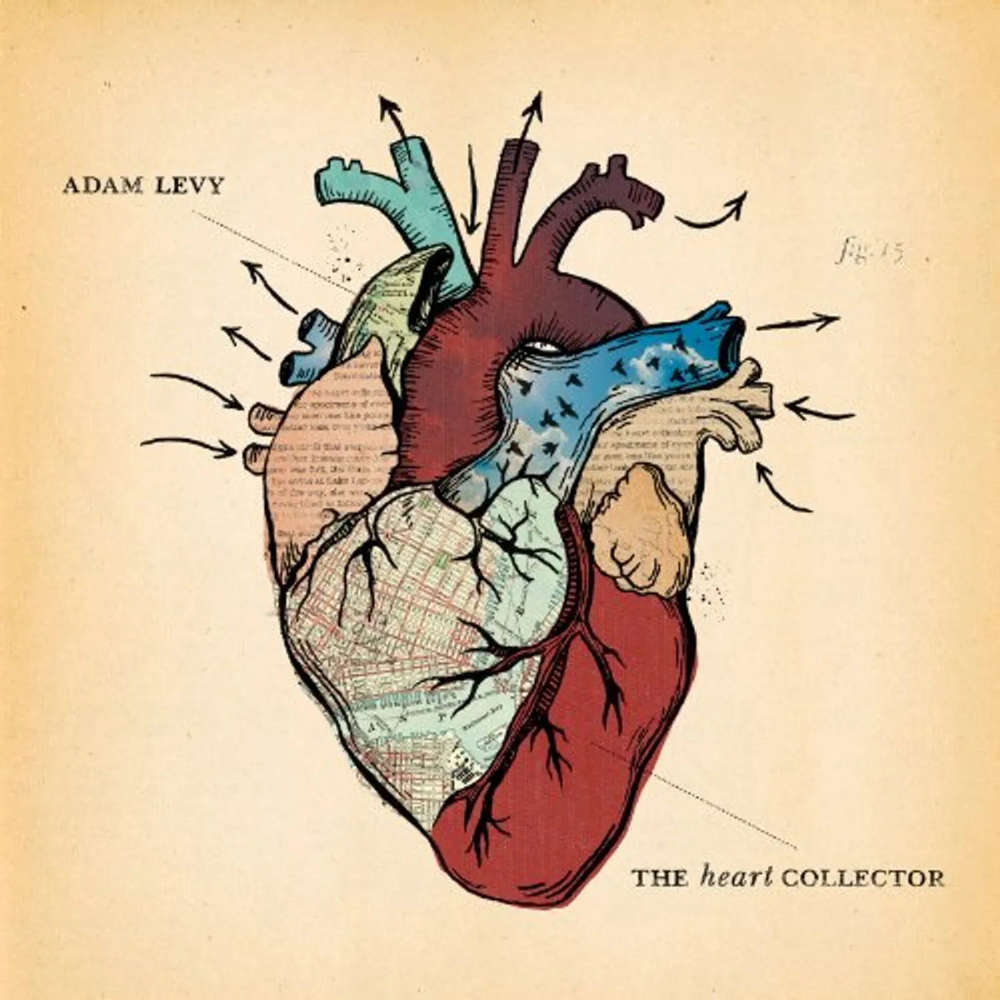 Adam Levy HEART COLLECTOR CD