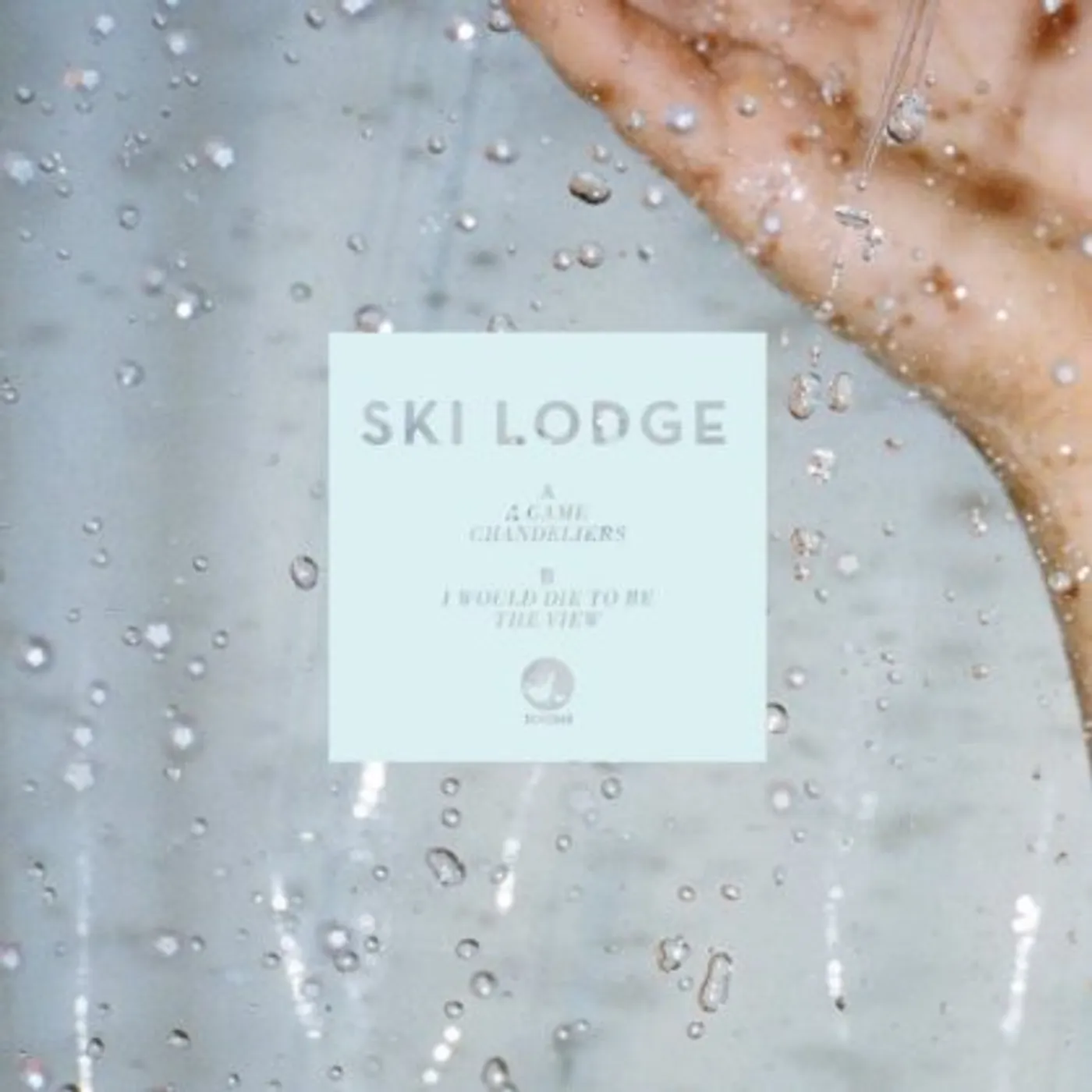 SKI LODGE Vinyl Record