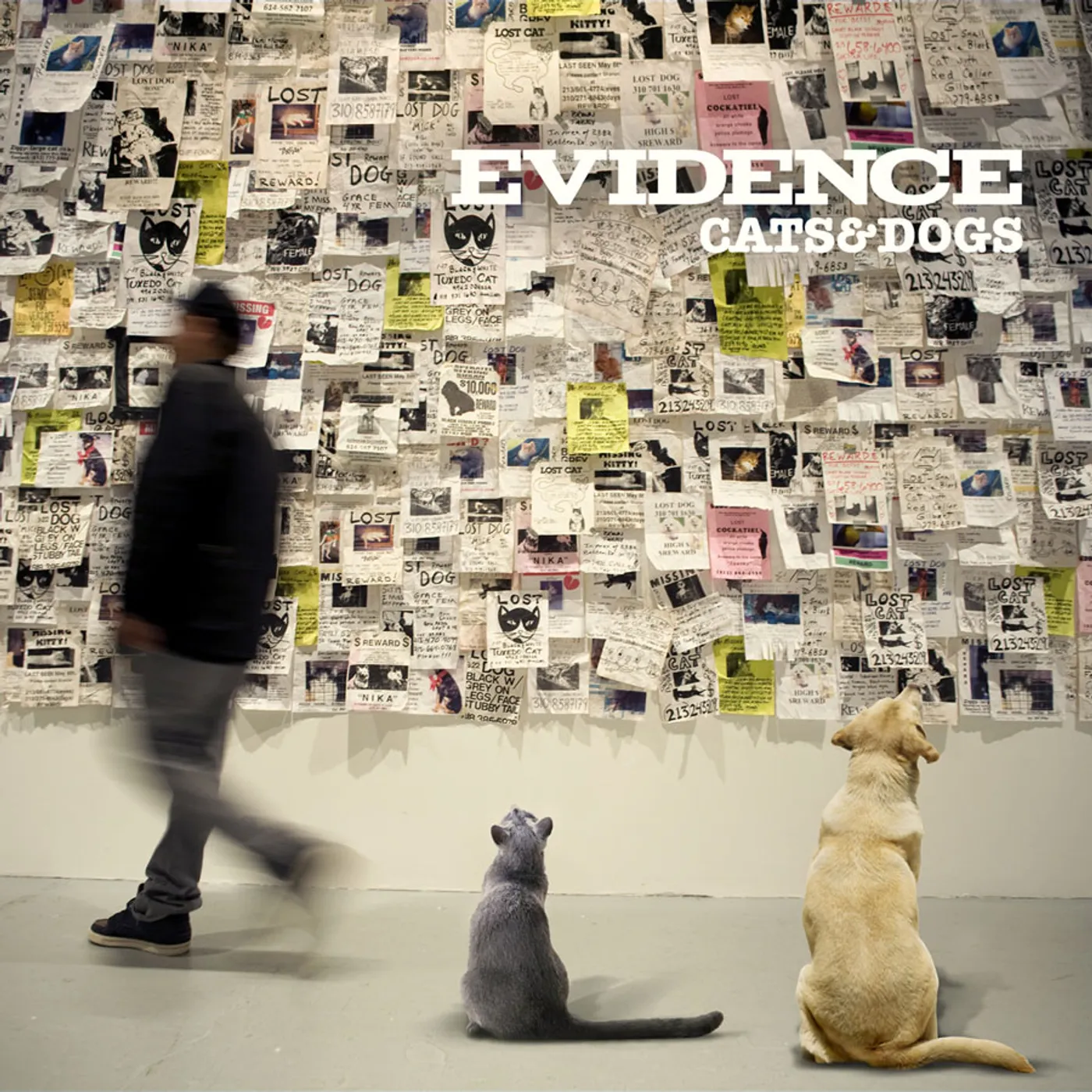 Evidence Cats & Dogs Vinyl Record
