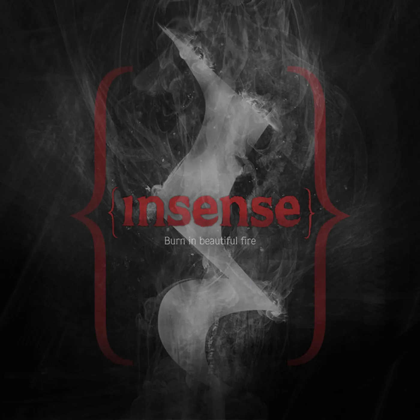 Insense BURN IN A BEAUTIFUL FIRE CD