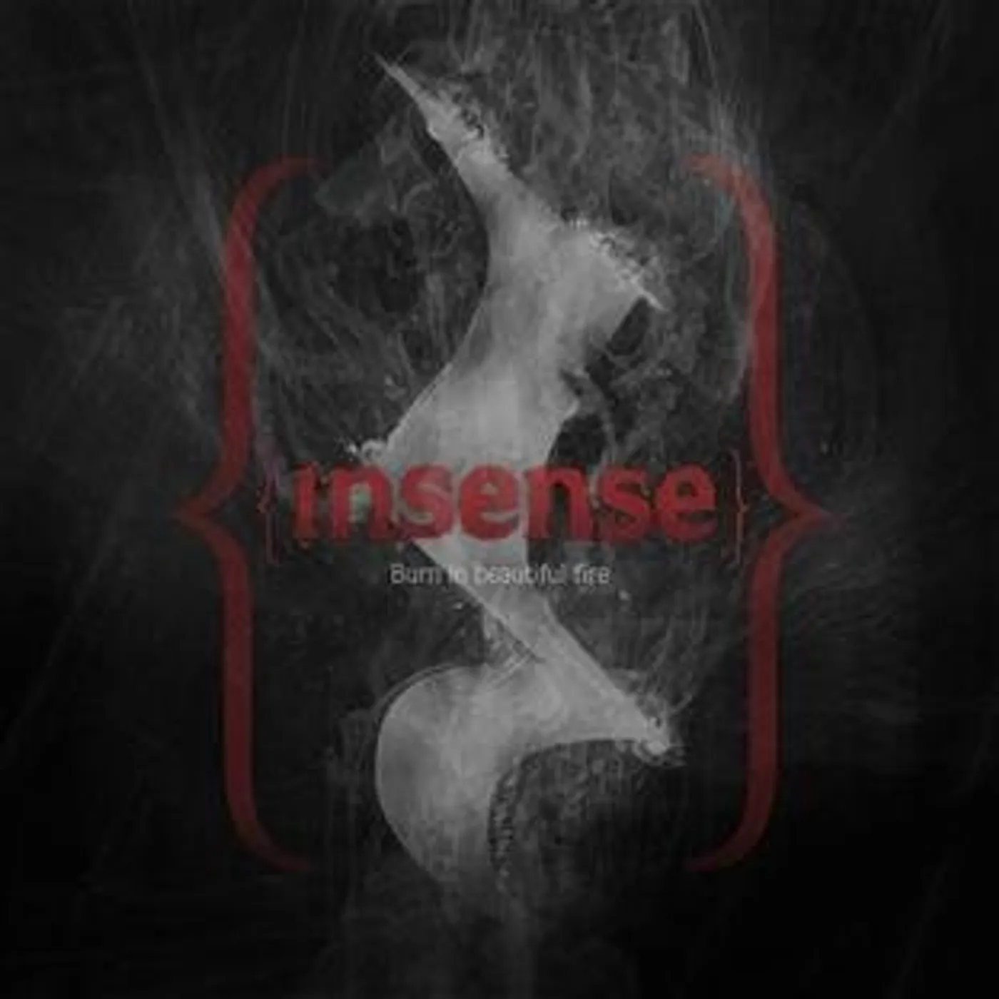 Insense BURN IN A BEAUTIFUL FIRE Vinyl Record
