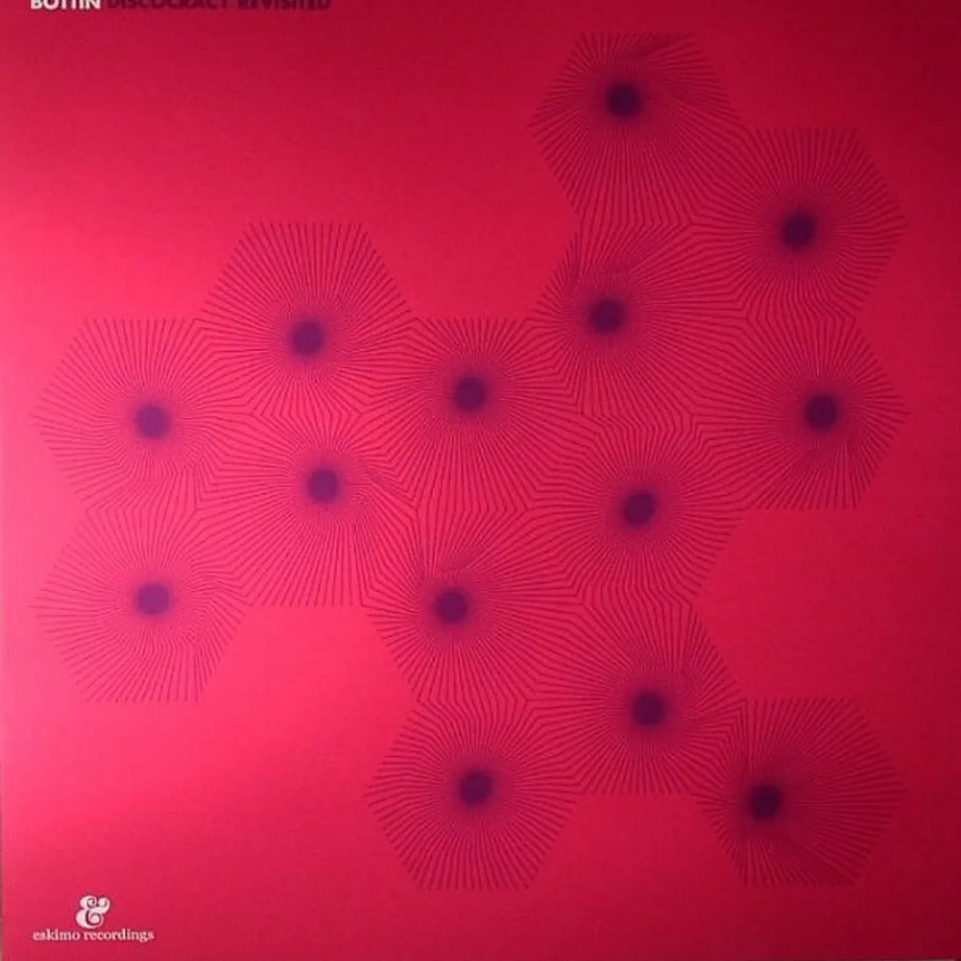 Bottin Discocracy Revisited Vinyl Record