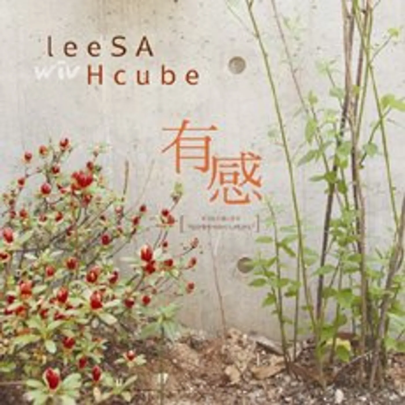 LEESA WIV HCUBE CD