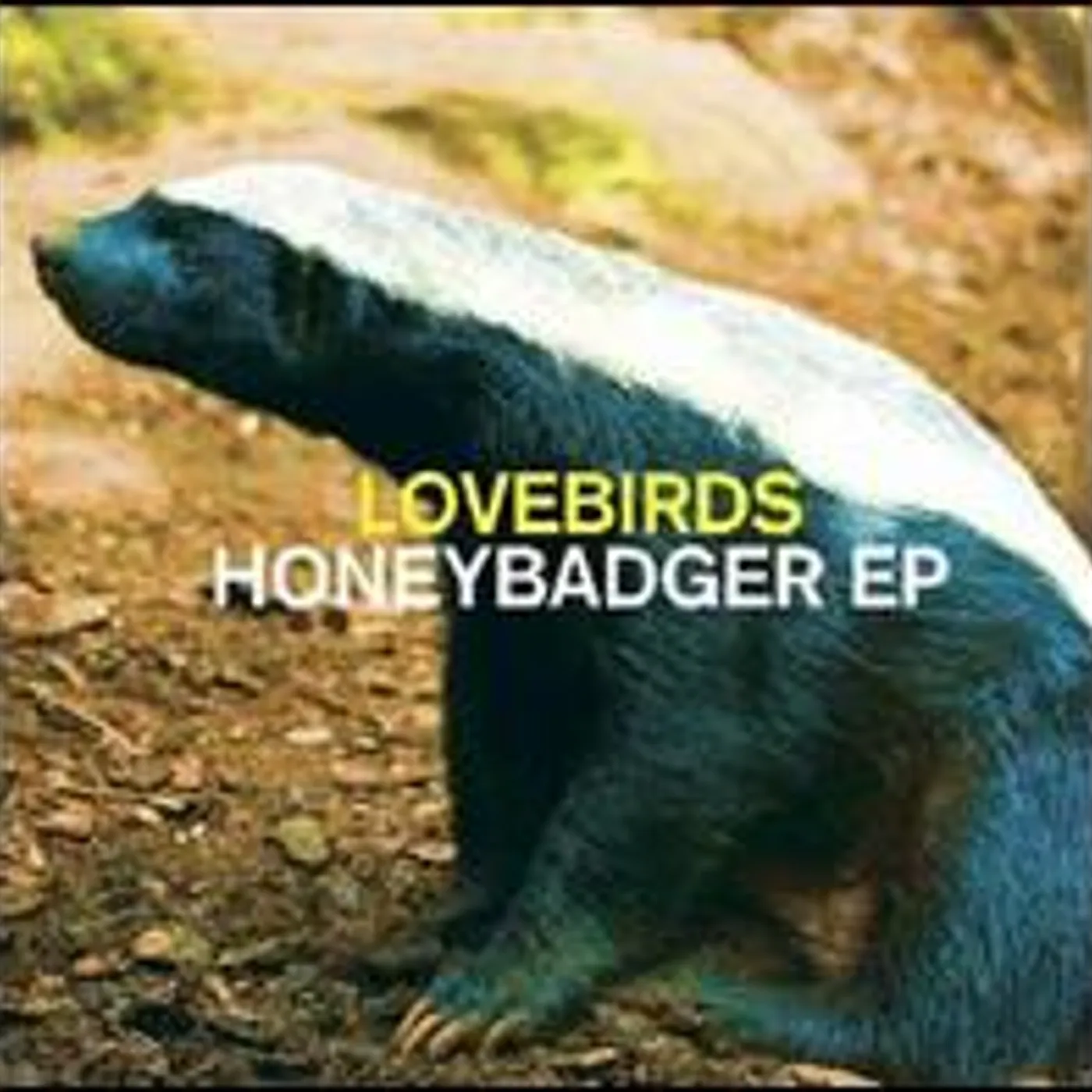 Lovebirds HONEYBADGER Vinyl Record