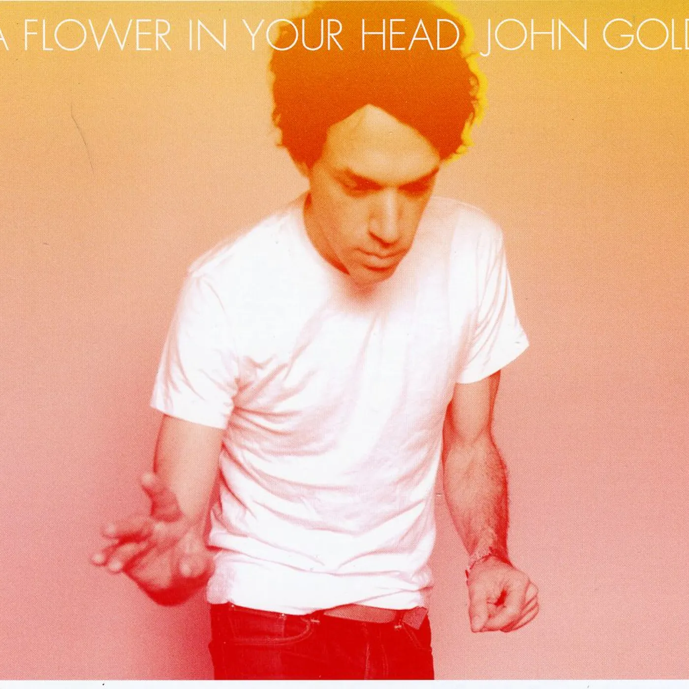 John Gold FLOWER IN YOUR HEAD CD