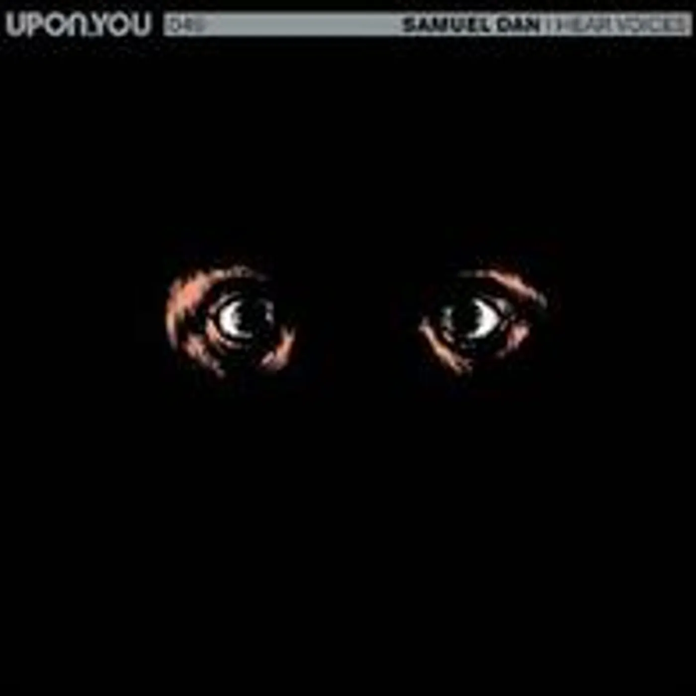 Samuel Dan I Hear Voices Vinyl Record