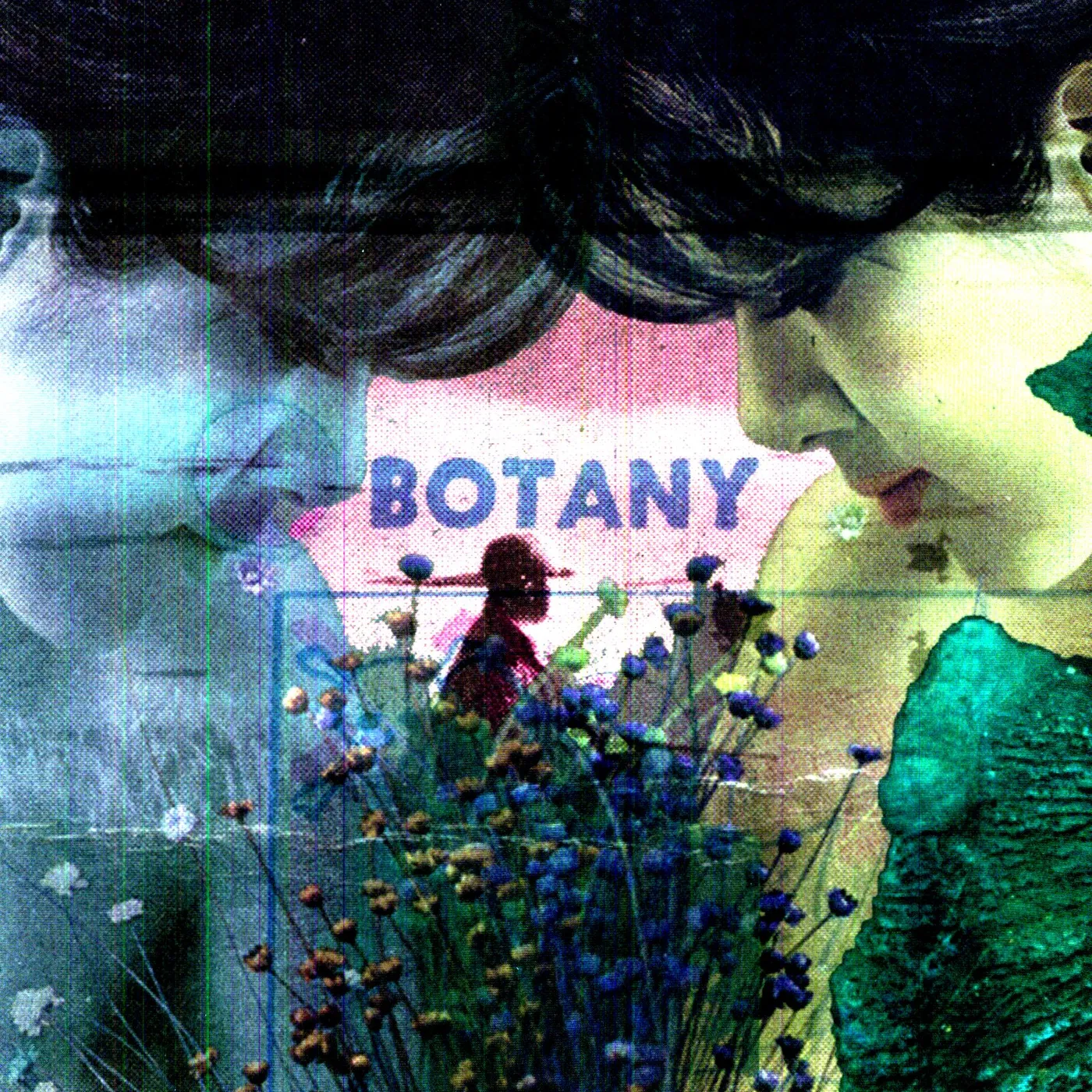 Botany Feeling Today Vinyl Record