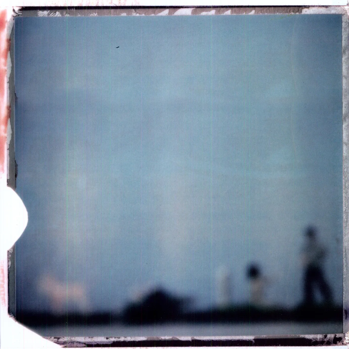 LOTUS Vinyl Record