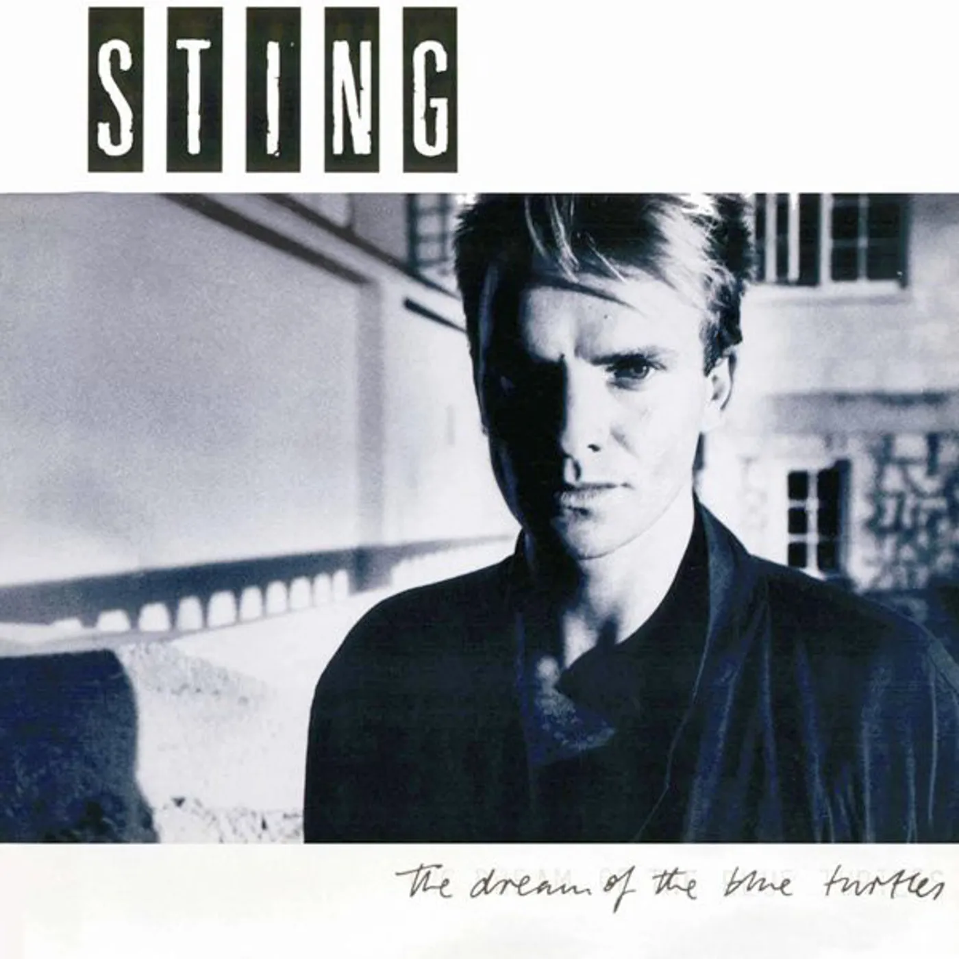 Sting DREAM OF THE BLUE TURTLES CD