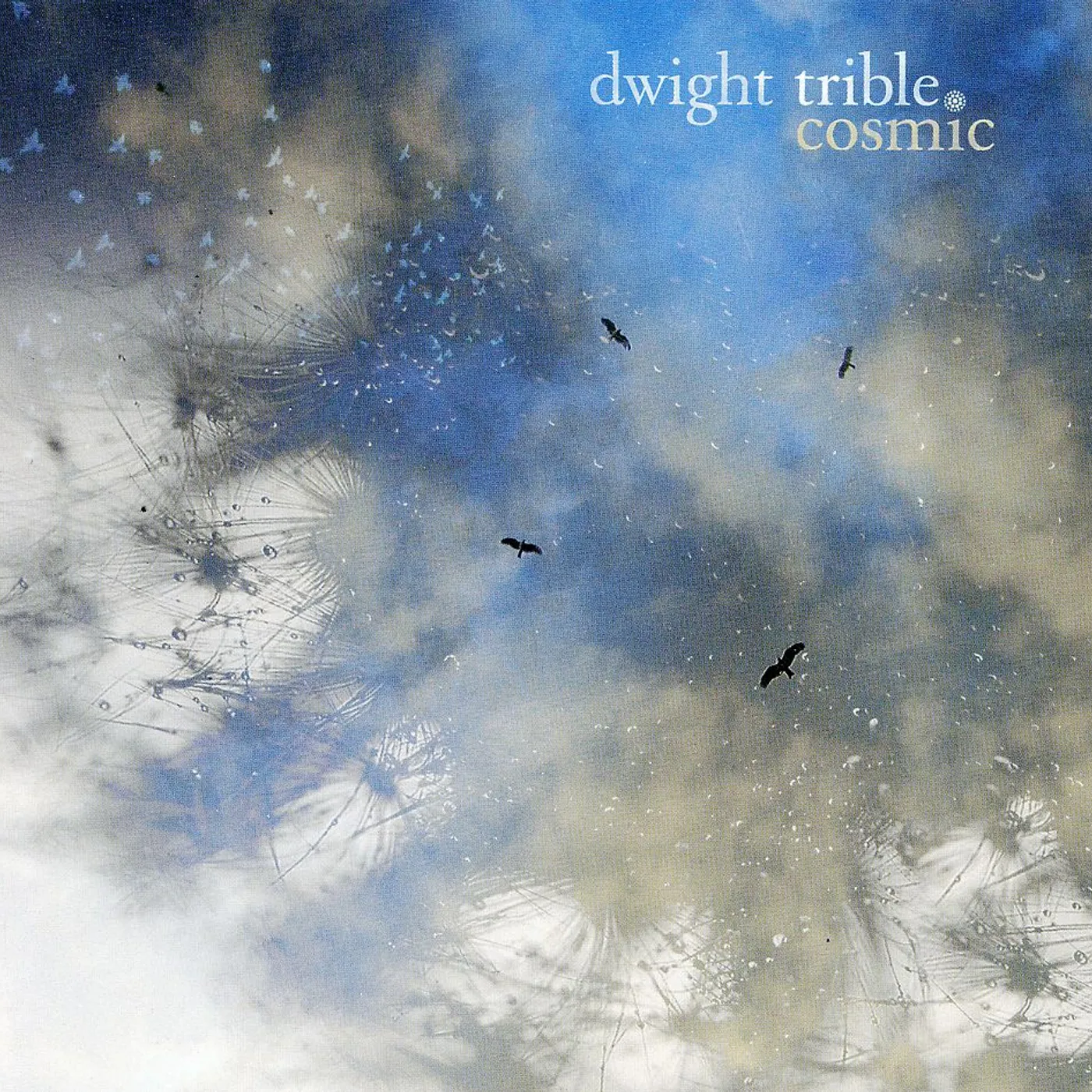 Dwight Trible COSMIC CD