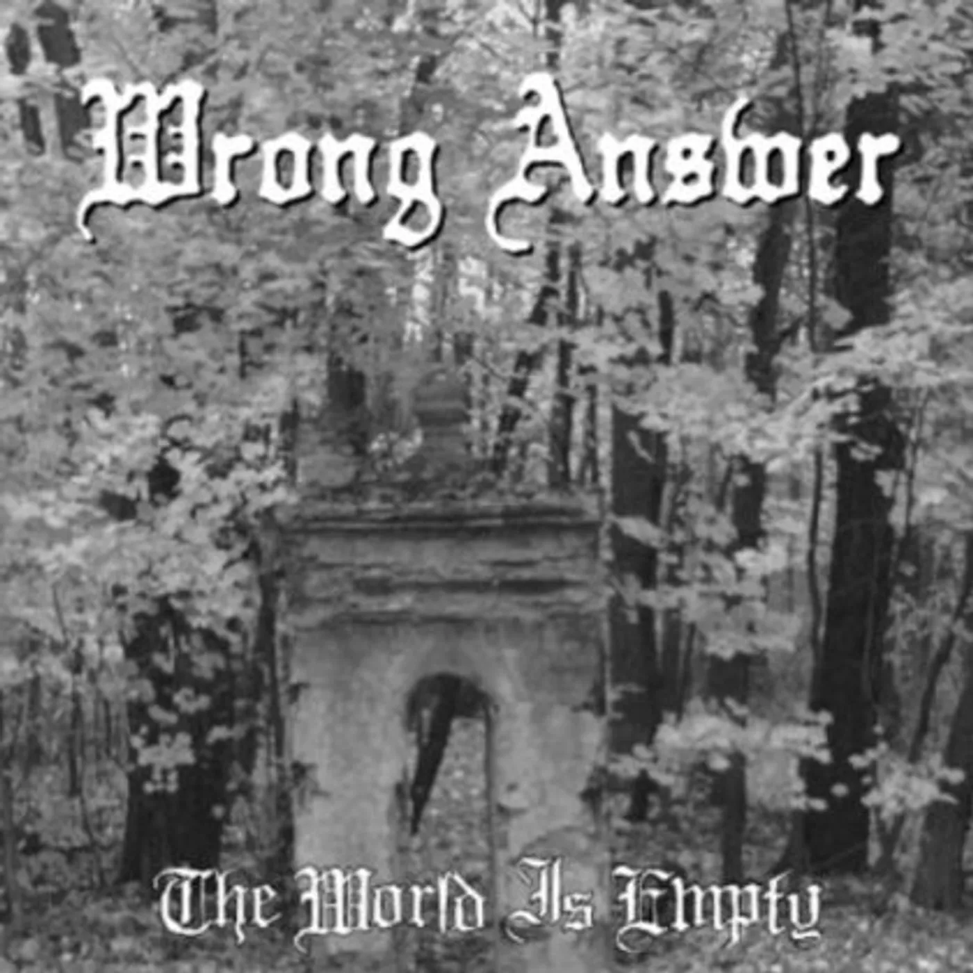 Wrong Answer WORLD IS EMPTY Vinyl Record