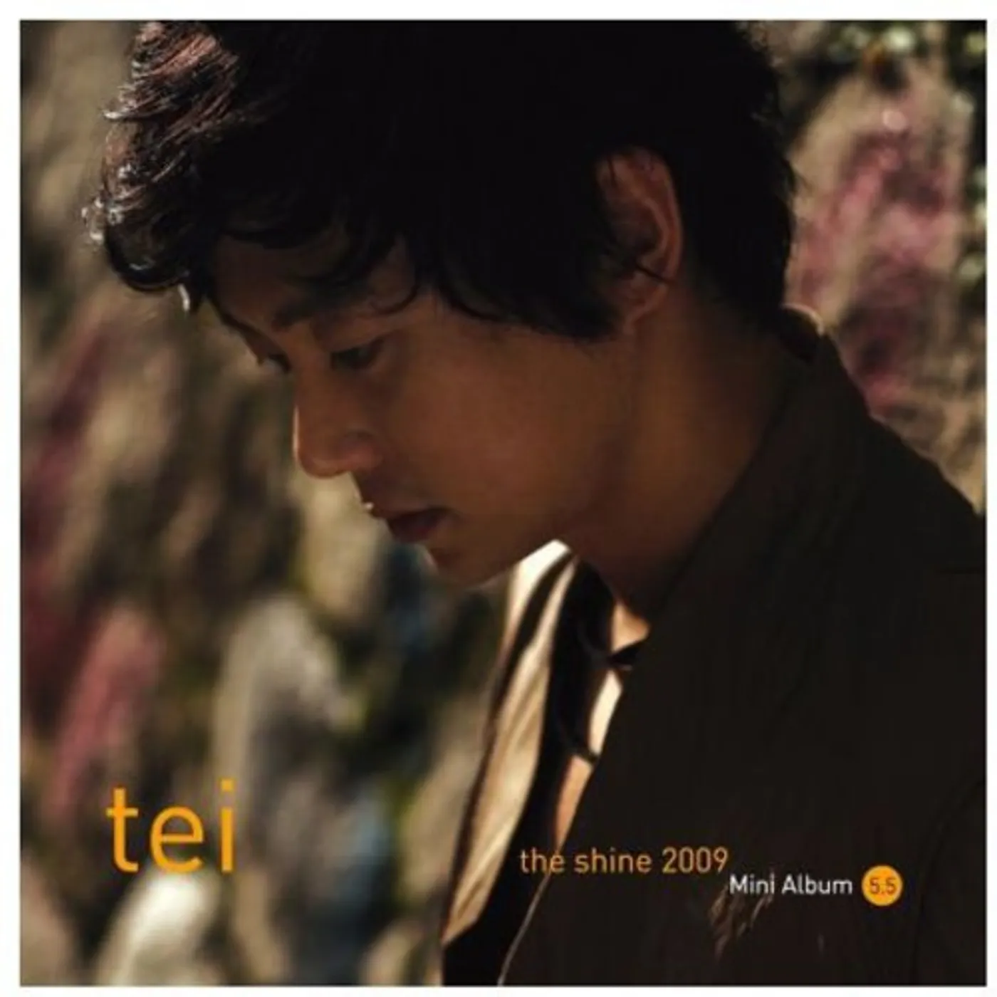 Tei SHINE 2009 CD