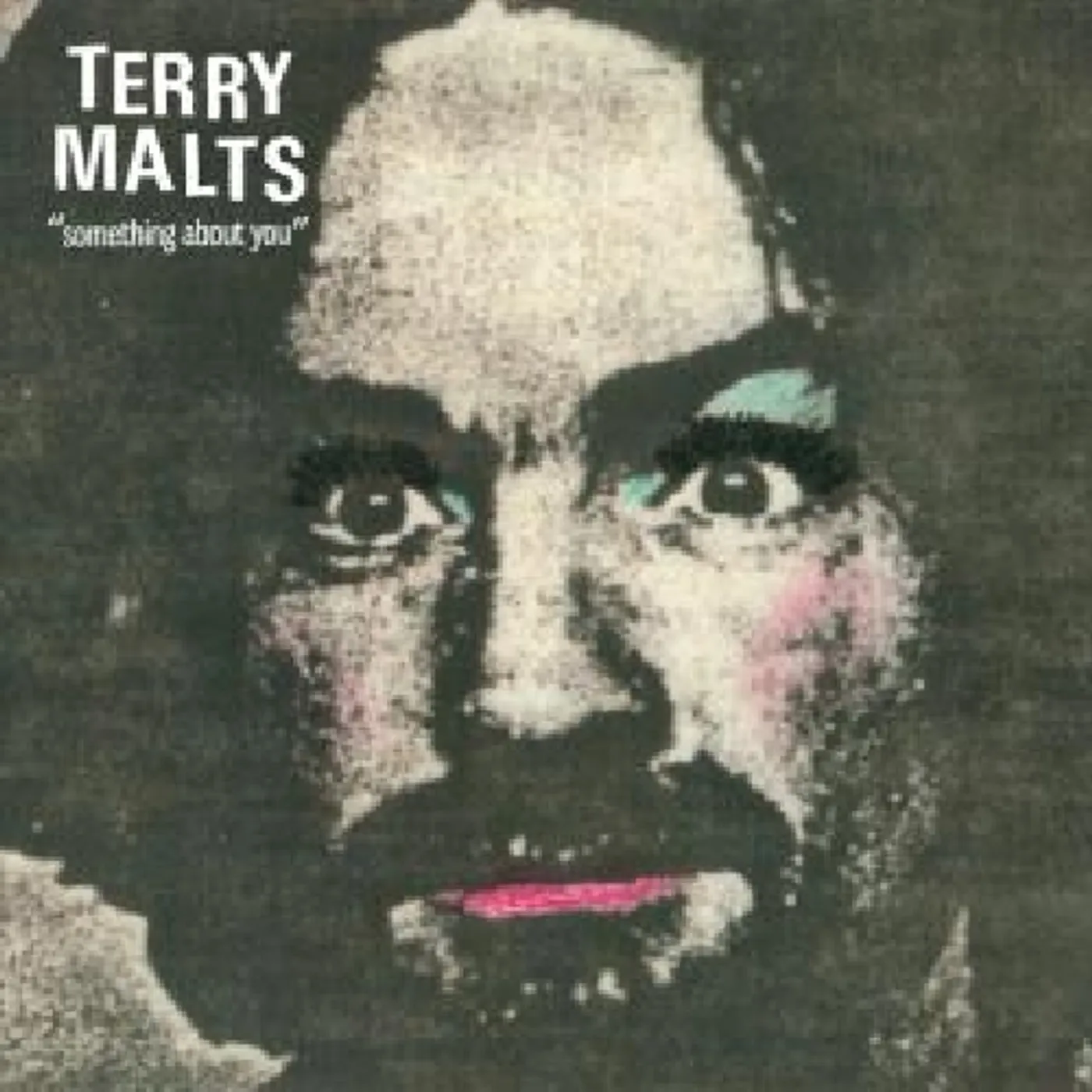 Terry Malts Something About You Vinyl Record
