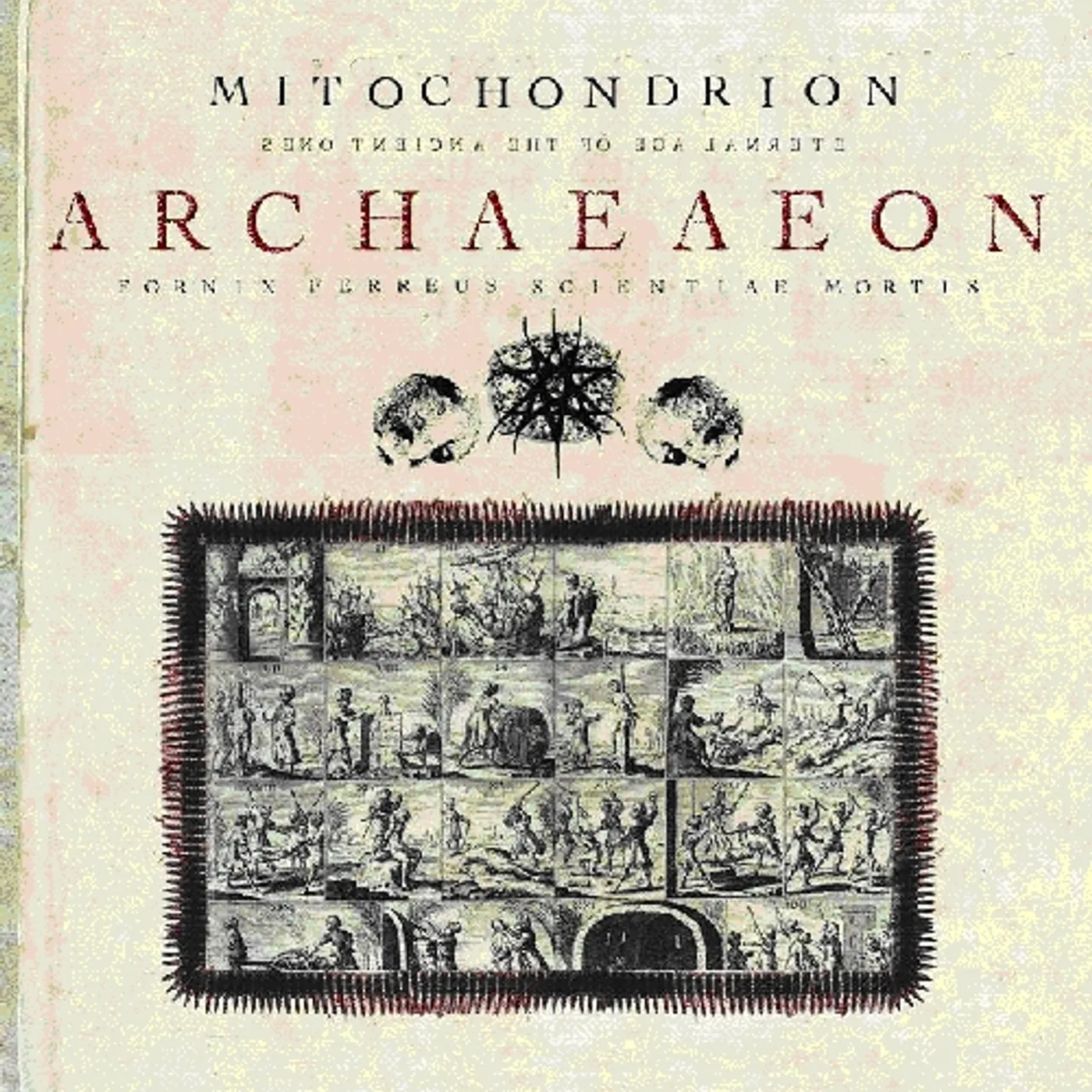Mitochondrion ARCHAEAEON CD