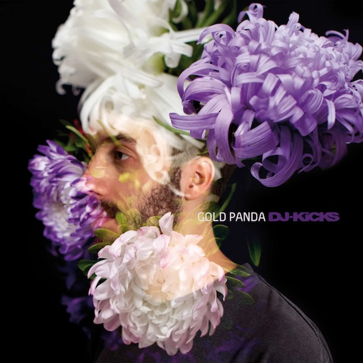 Gold Panda AN ICEBERG HURTLED NORTHWARD THROUGH CLOUDS Vinyl Record