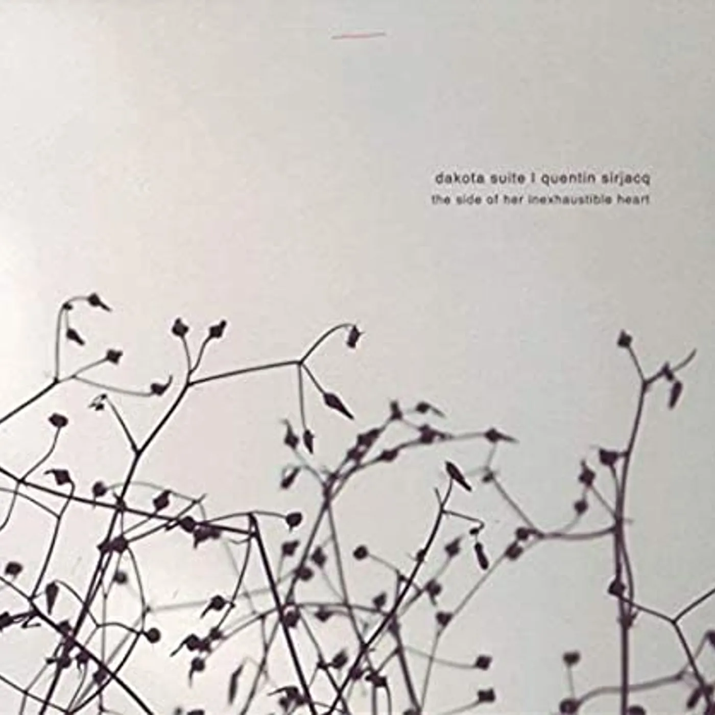 Dakota Suite & Quentin Sirjacq SIDE OF HER INEXHAUSTIBLE HEART Vinyl Record