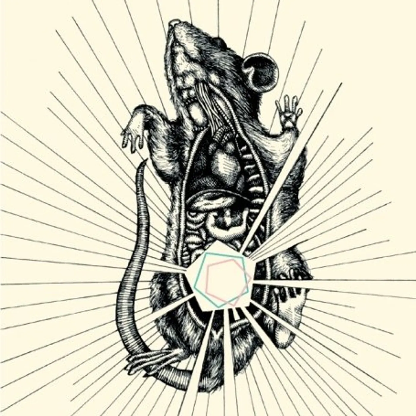 Capricorns RIVER, BEAR YOUR BONES CD