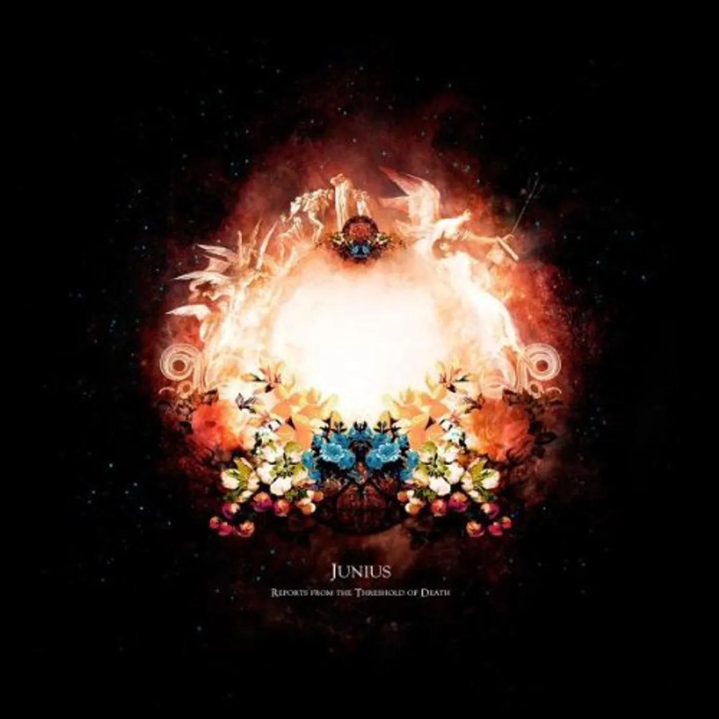 Junius Reports from the Threshold of Death Vinyl Record