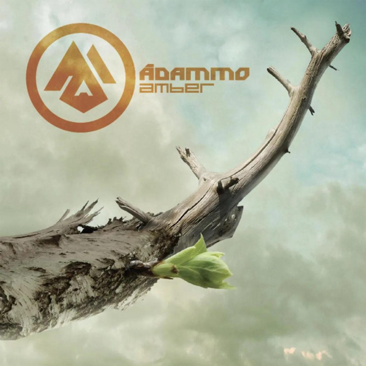 Adammo AMBER CD