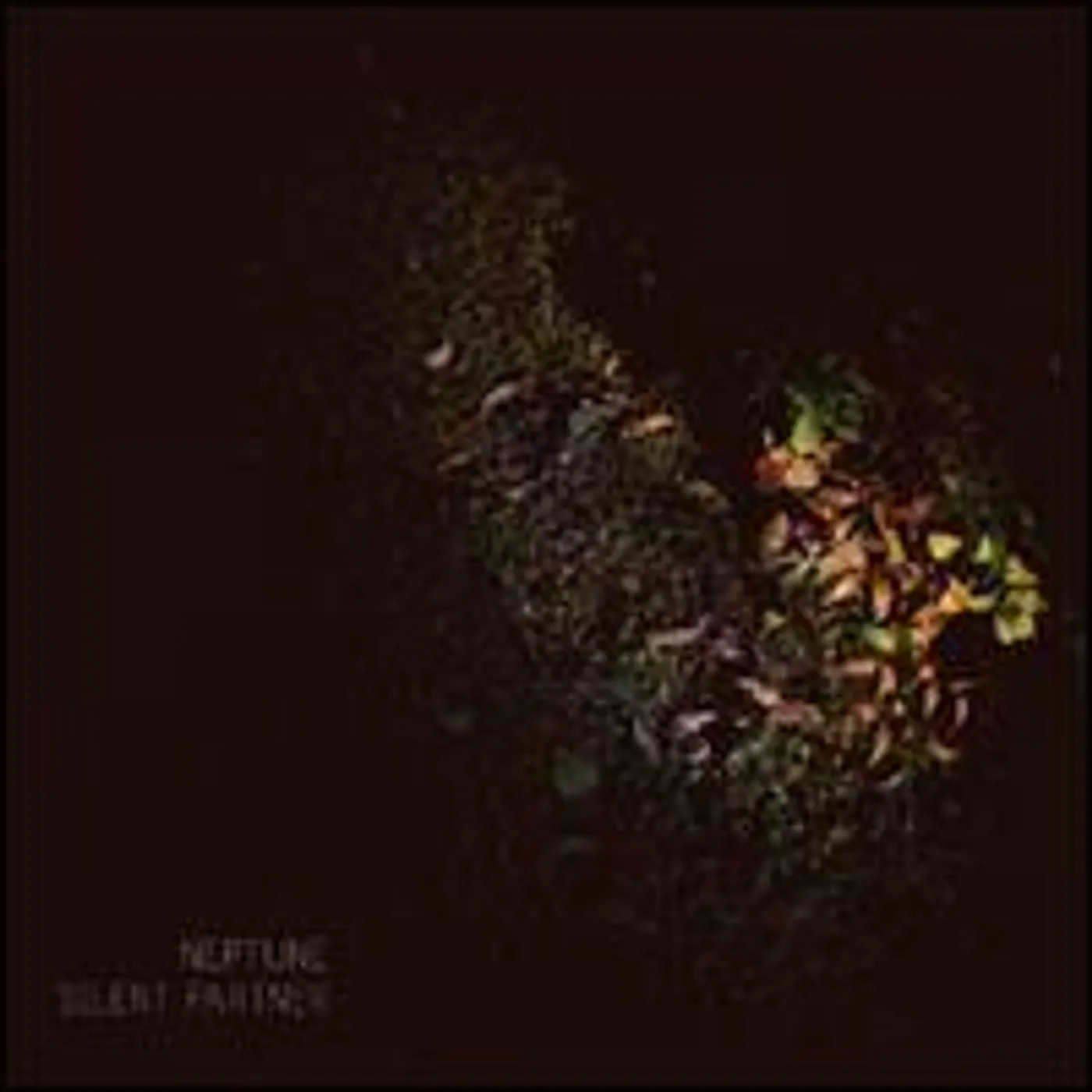 Neptune Silent Partner Vinyl Record