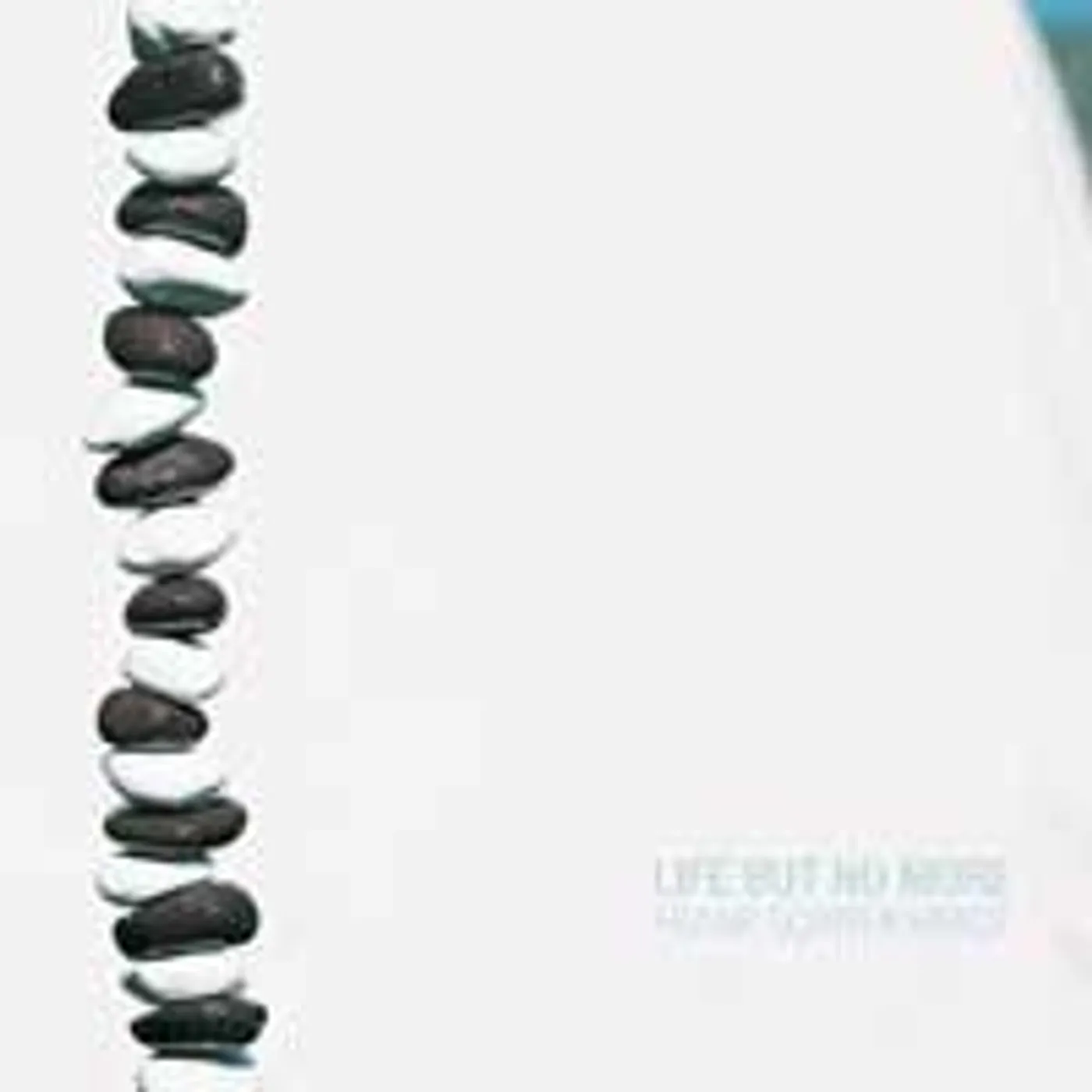 Frank Schweikhardt LIFE BUT NO MORE Vinyl Record