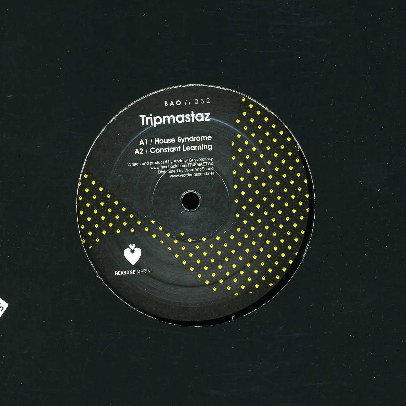Tripmastaz HOUSE SYNDROME Vinyl Record