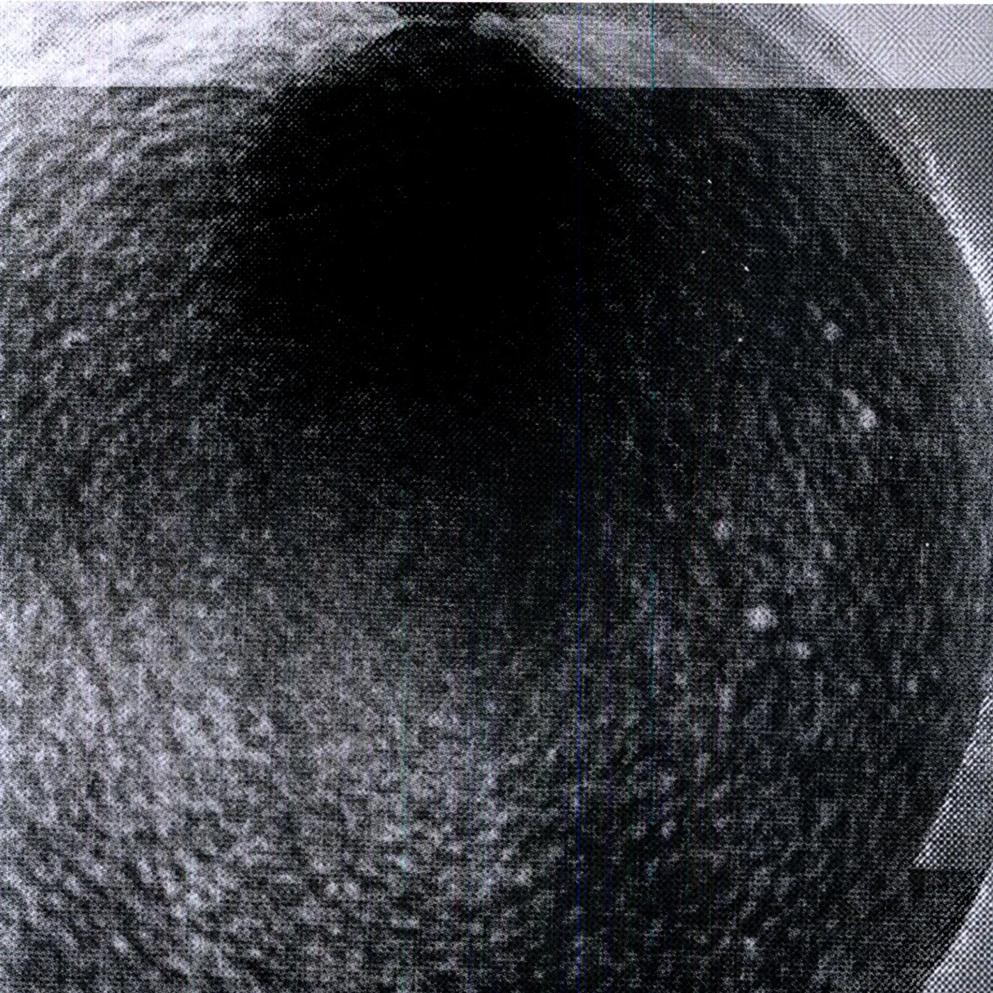 Ursula Bogner SONNE = BLACKBOX (2022 REPRESS) Vinyl Record