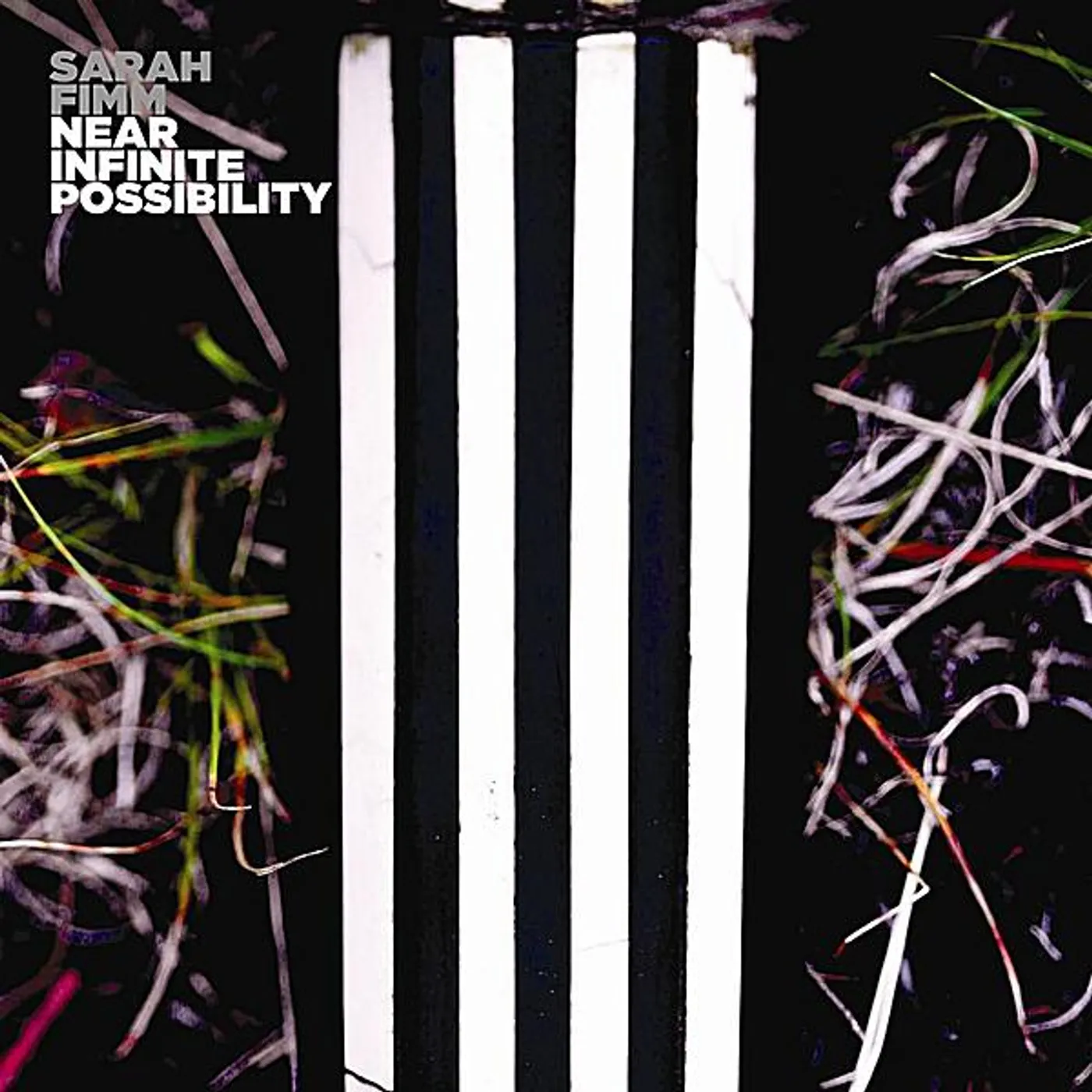 Sarah Fimm NEAR INFINITE POSSIBILITY CD