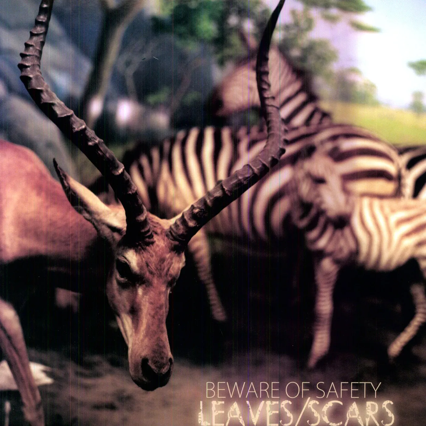 Beware of Safety LEAVES / SCARS Vinyl Record
