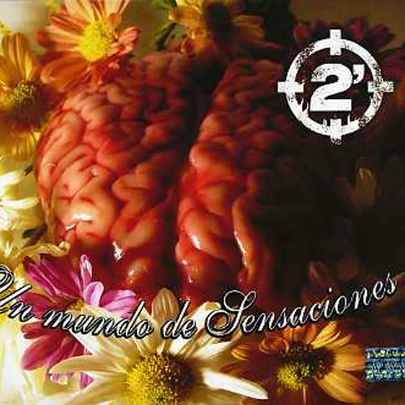 2 minutos UN MUNDO DE SENSACIONES CD