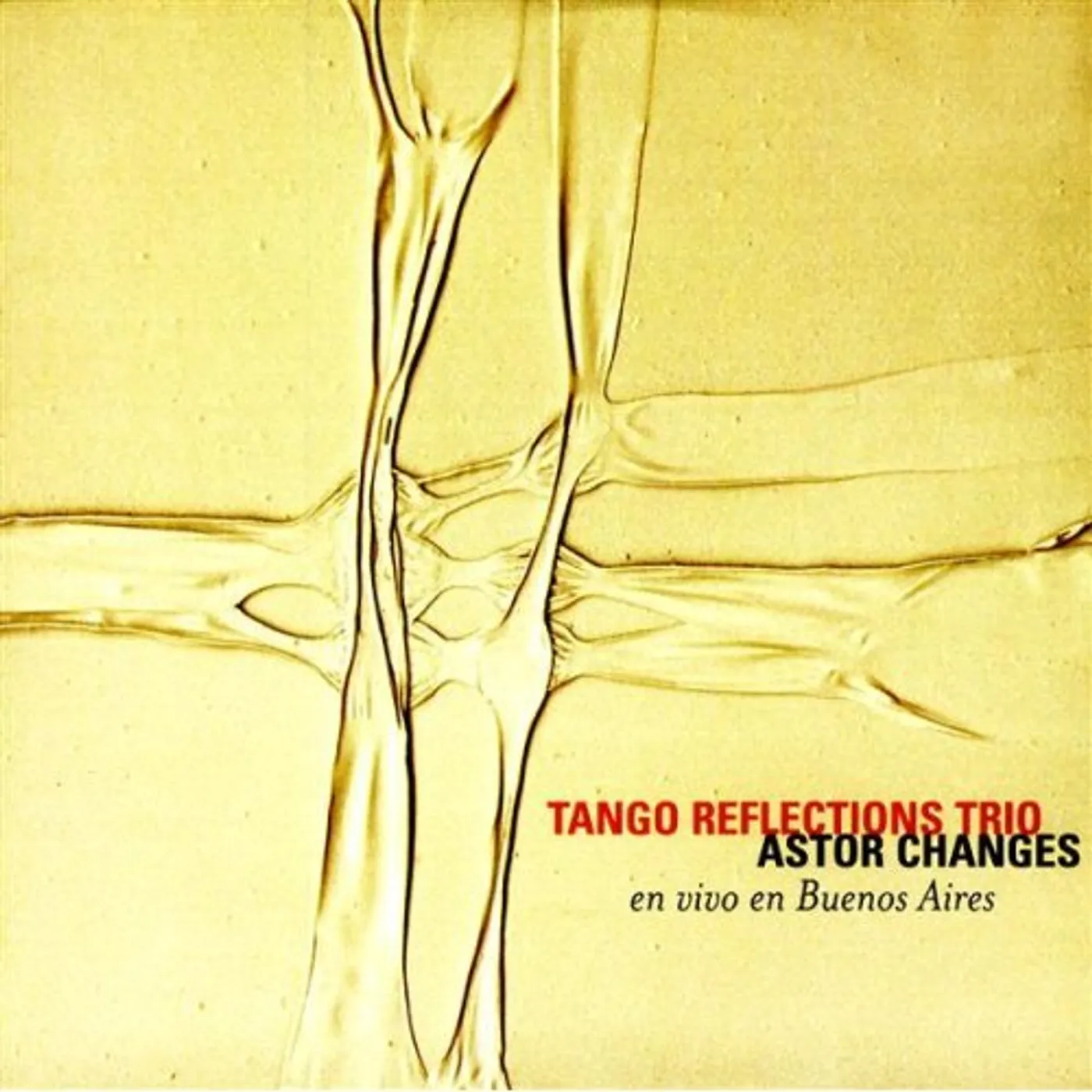 Tango Reflections Trio ASTOR CHANGES CD