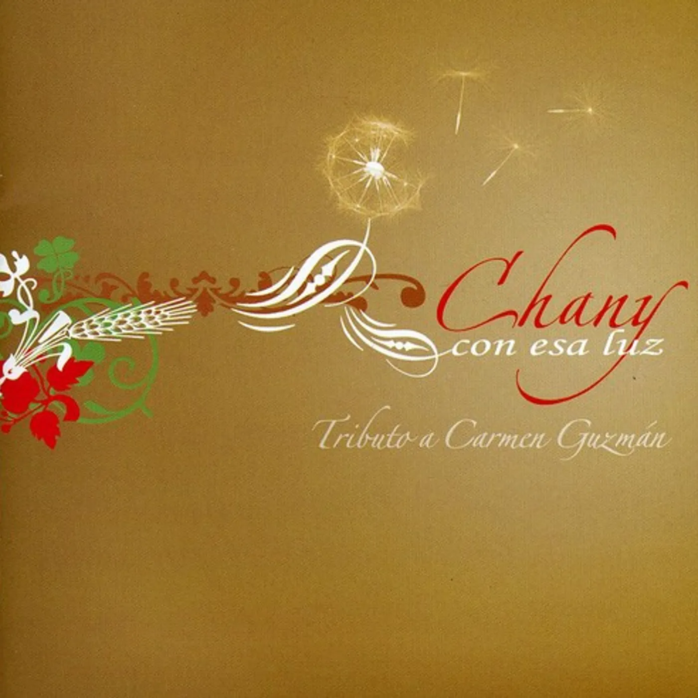 Chany Suarez CON ESA LUZ: TRIBUTO A CARMEN CD
