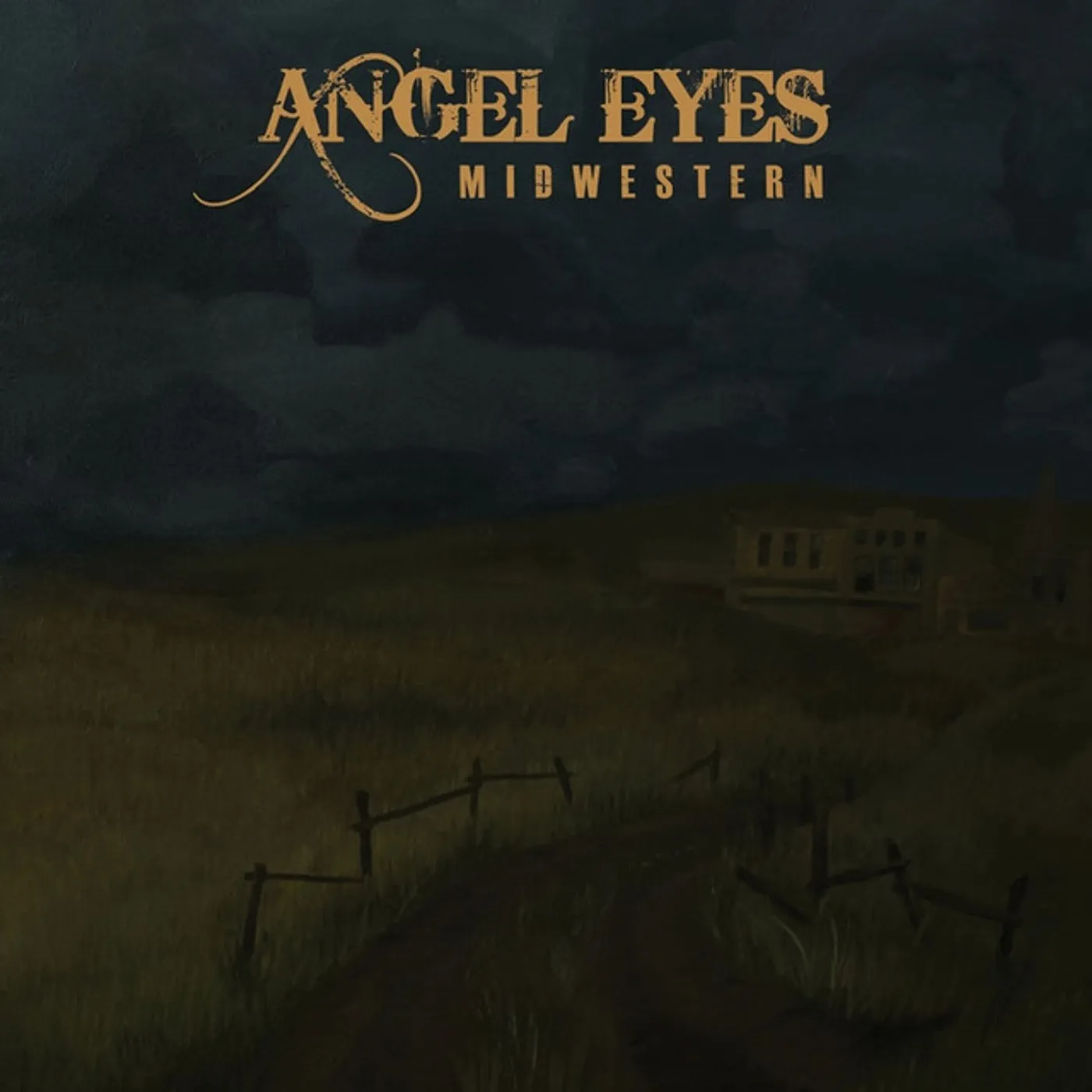 Angel Eyes Midwestern Vinyl Record