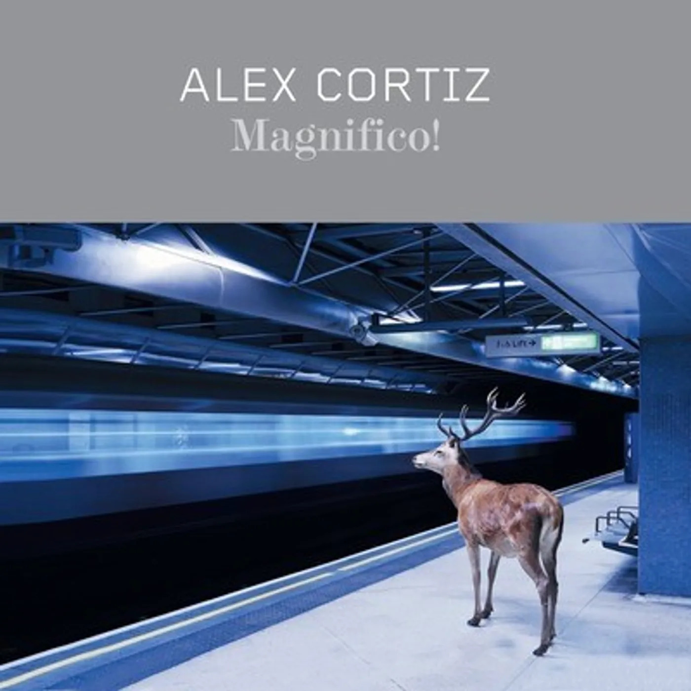 Alex Cortiz MAGNIFICO! CD