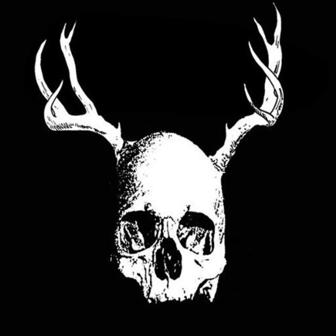 Secret Fun Club Skull with Antlers Vinyl Record