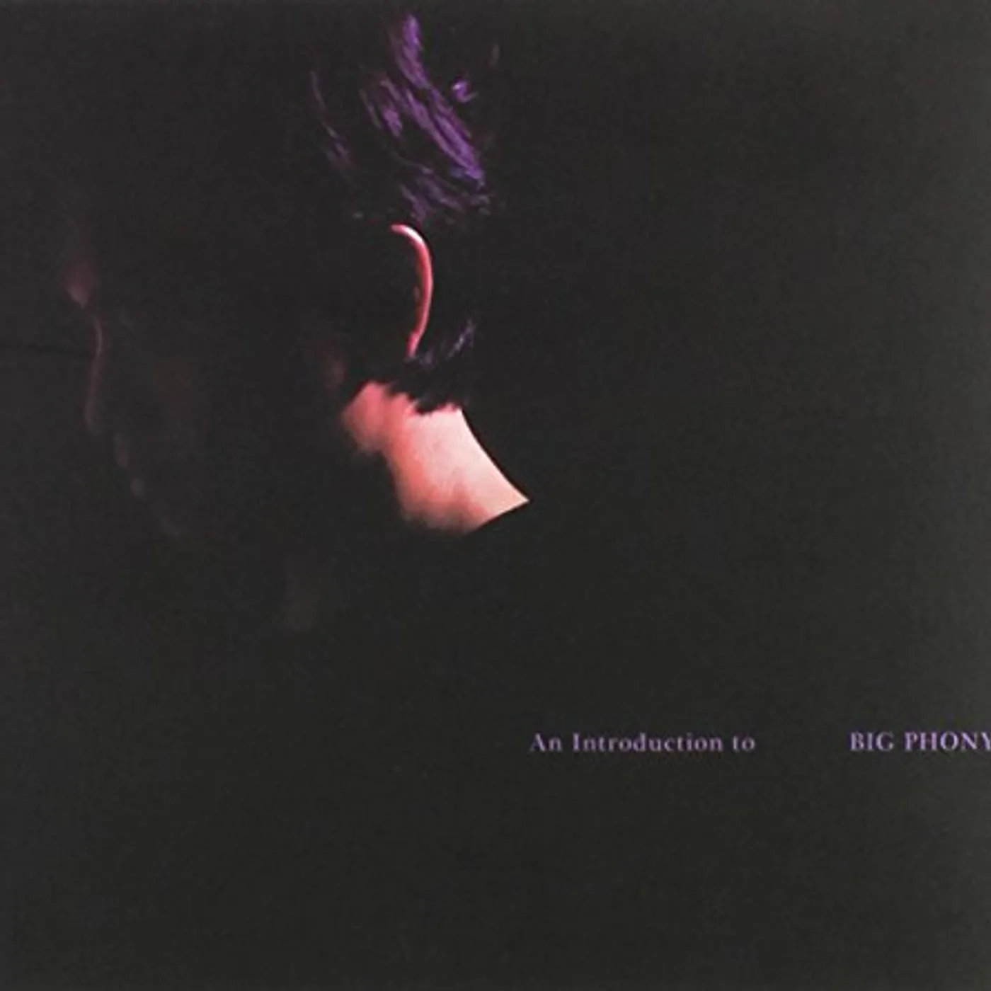 INTRODUCTION TO BIG PHONY CD