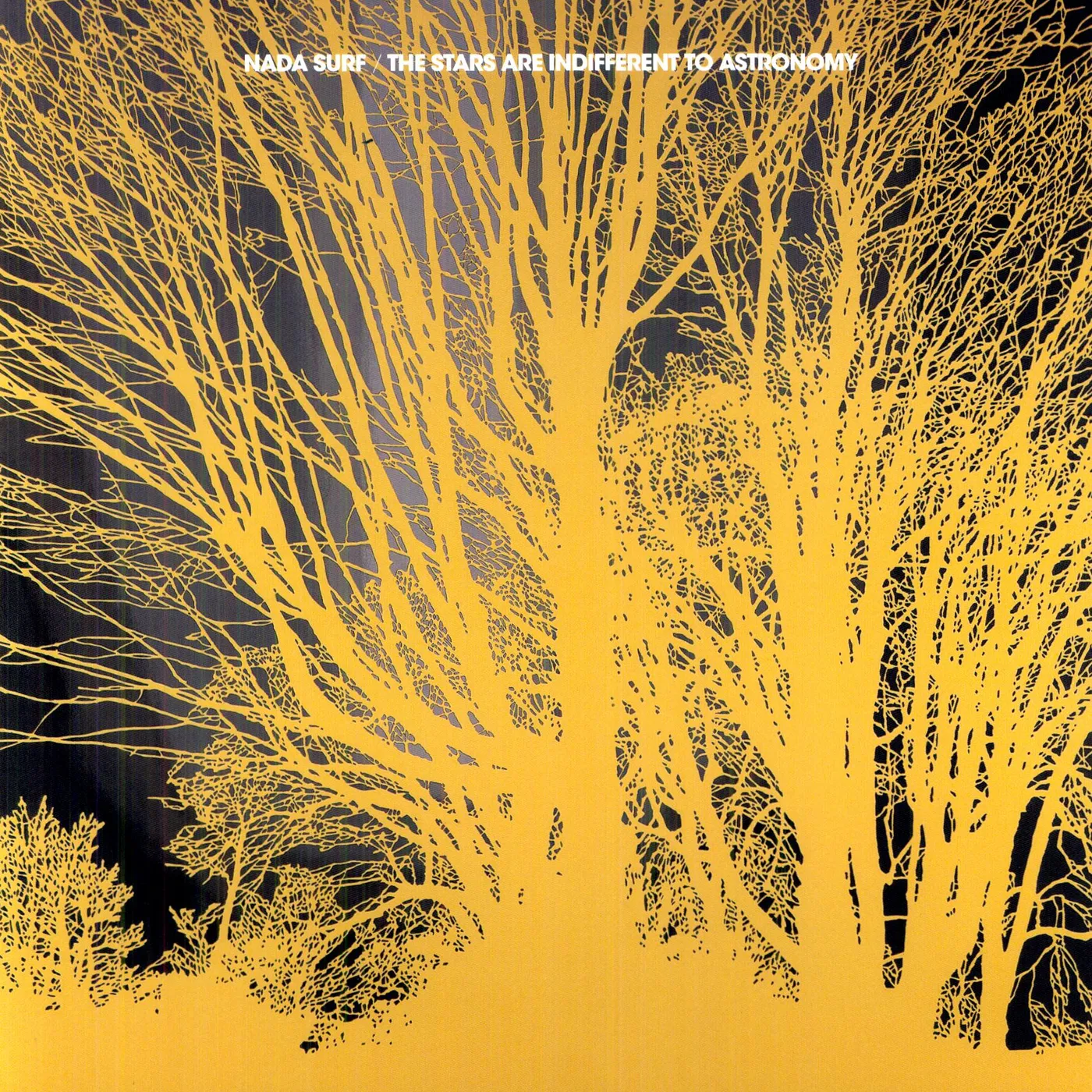 Nada Surf STARS ARE INDIFFERENT TO ASTRONOMY Vinyl Record